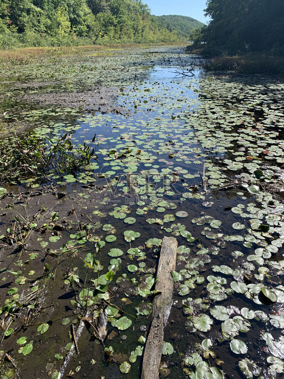 很酷的氛围照片摄影图片