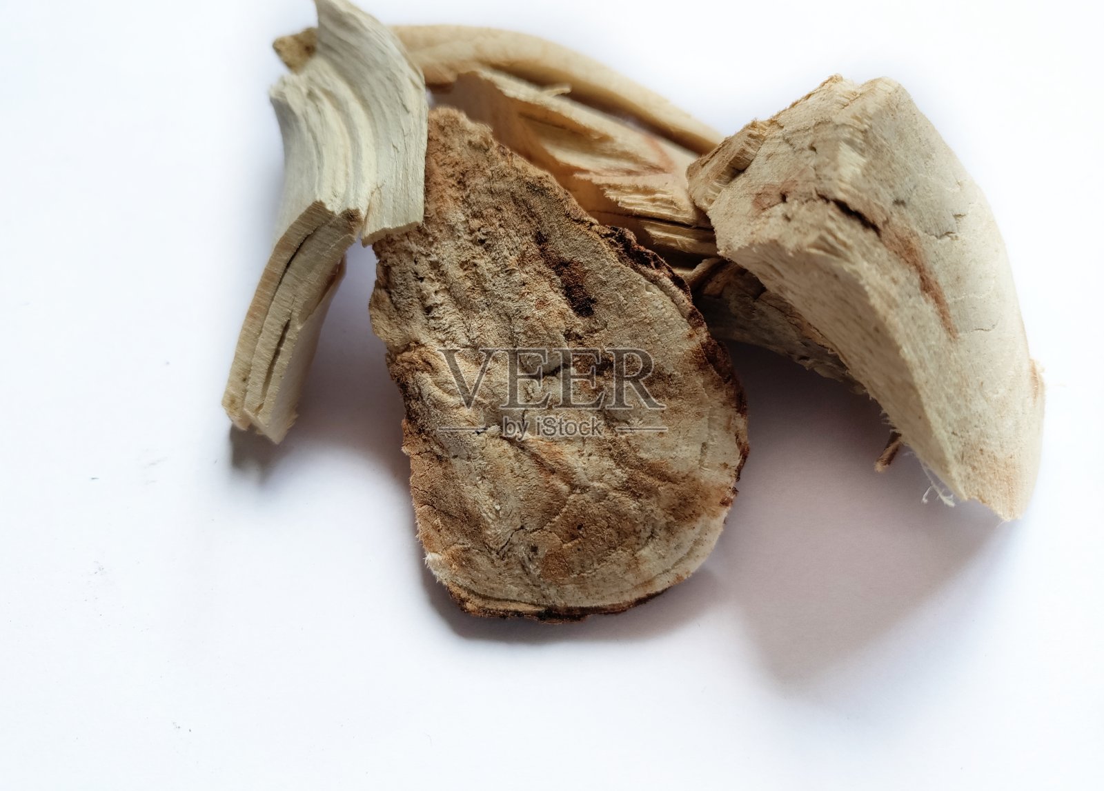 蓖麻(蓖麻属)树皮。蓖麻是一种强力泻药。照片摄影图片