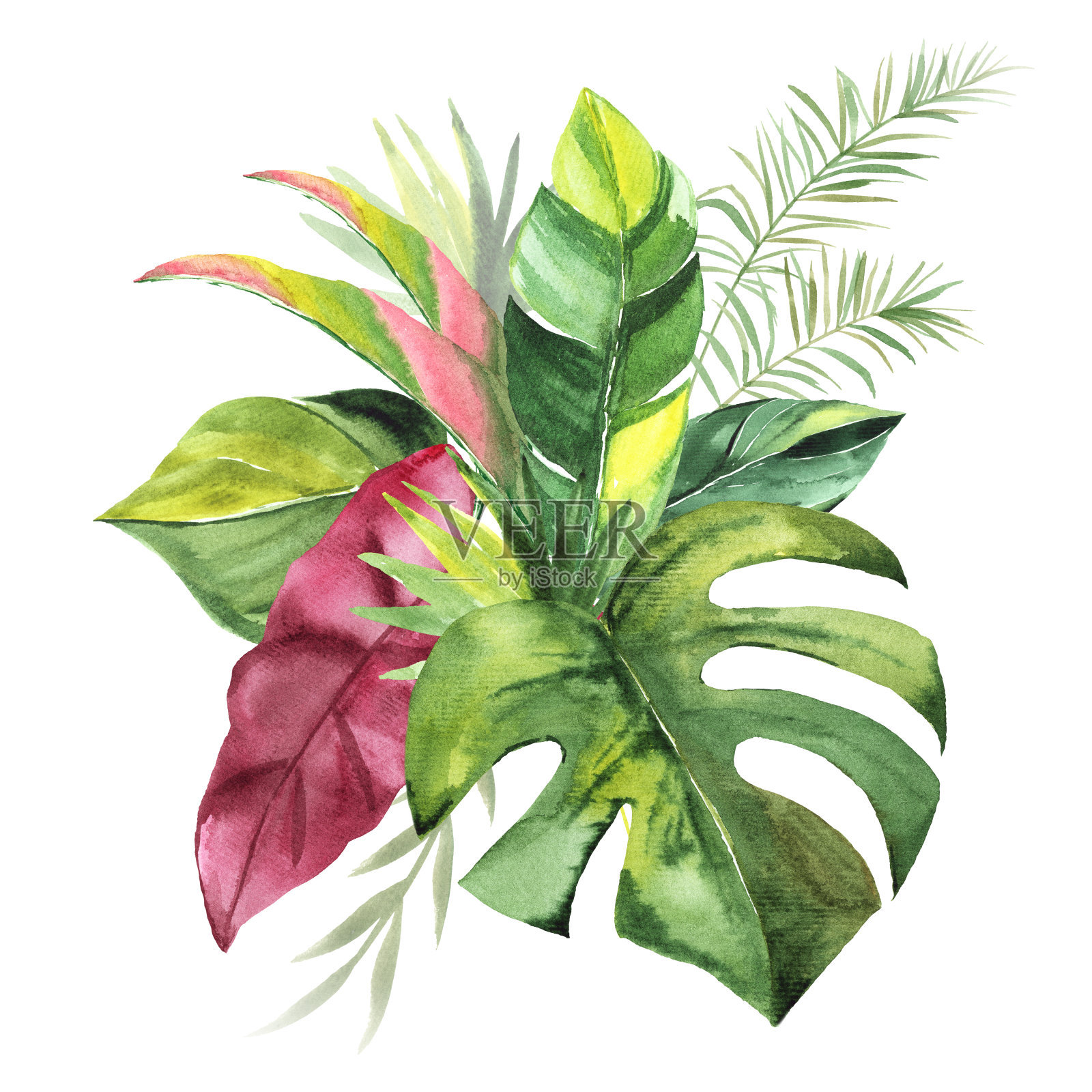 热带花束与绿色水彩叶子婚礼和仪式装饰插画图片素材