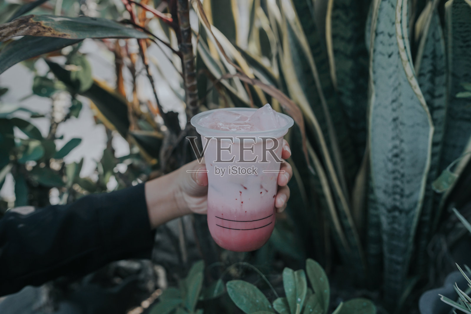 奶昔照片摄影图片