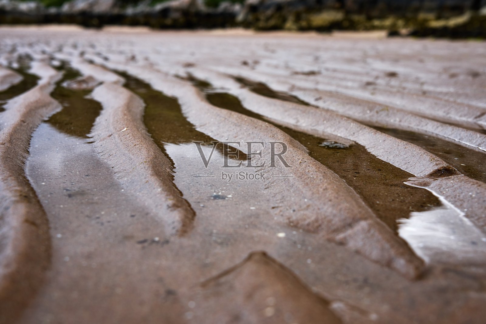 格鲁纳德海滩上的波纹照片摄影图片