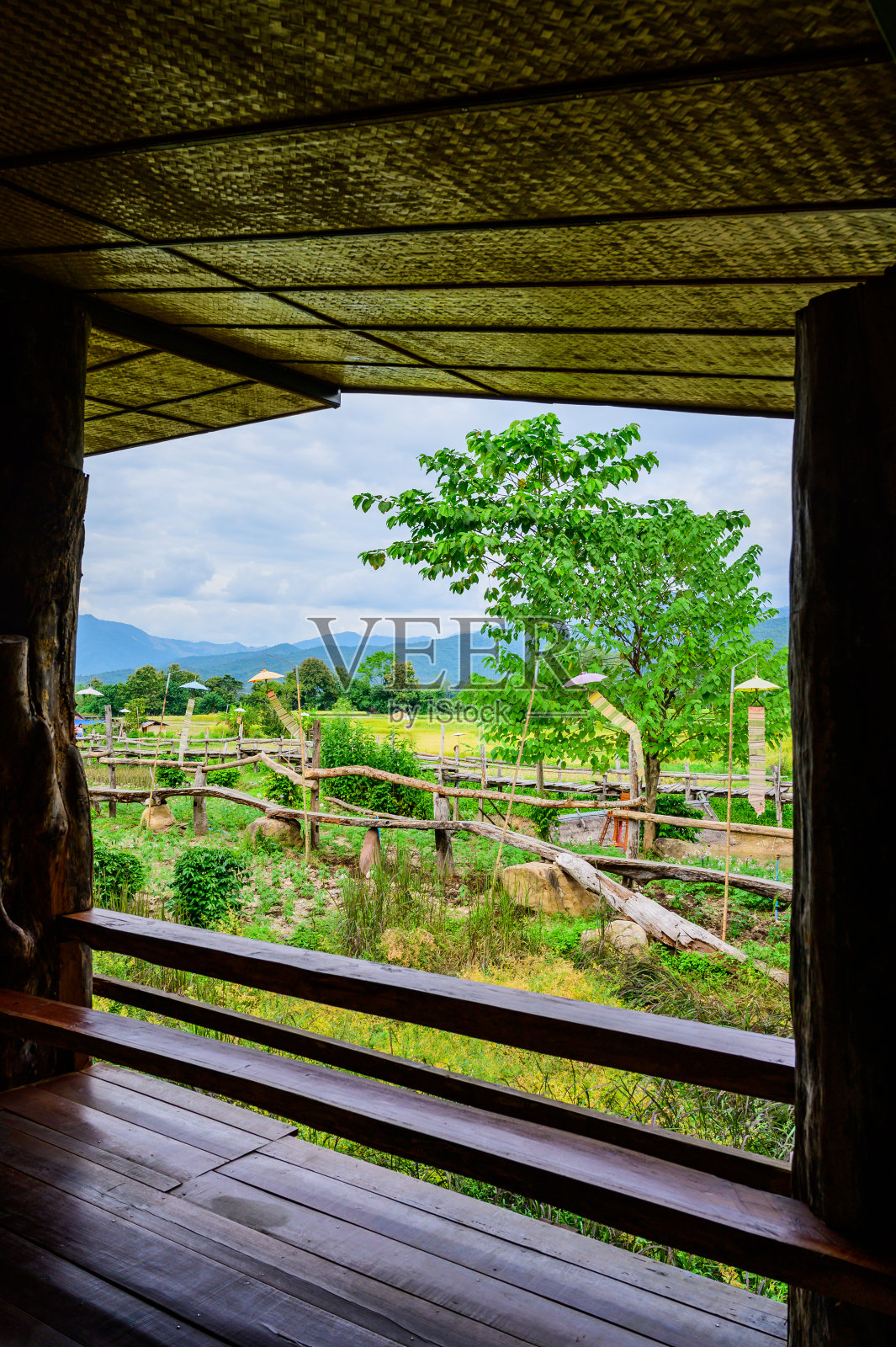 蒲阿区的小木桥和稻田照片摄影图片