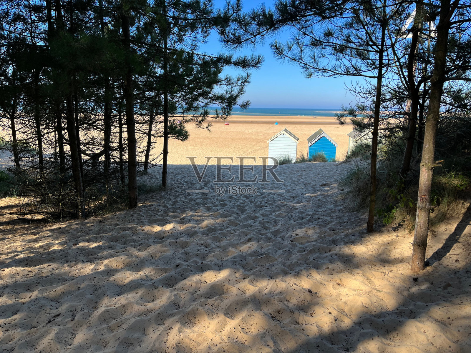 穿过树林来到海滩照片摄影图片