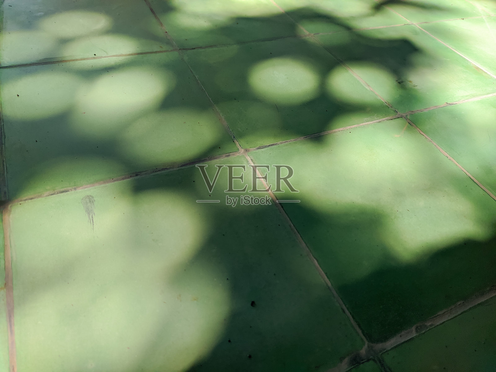 地板上的树影照片摄影图片