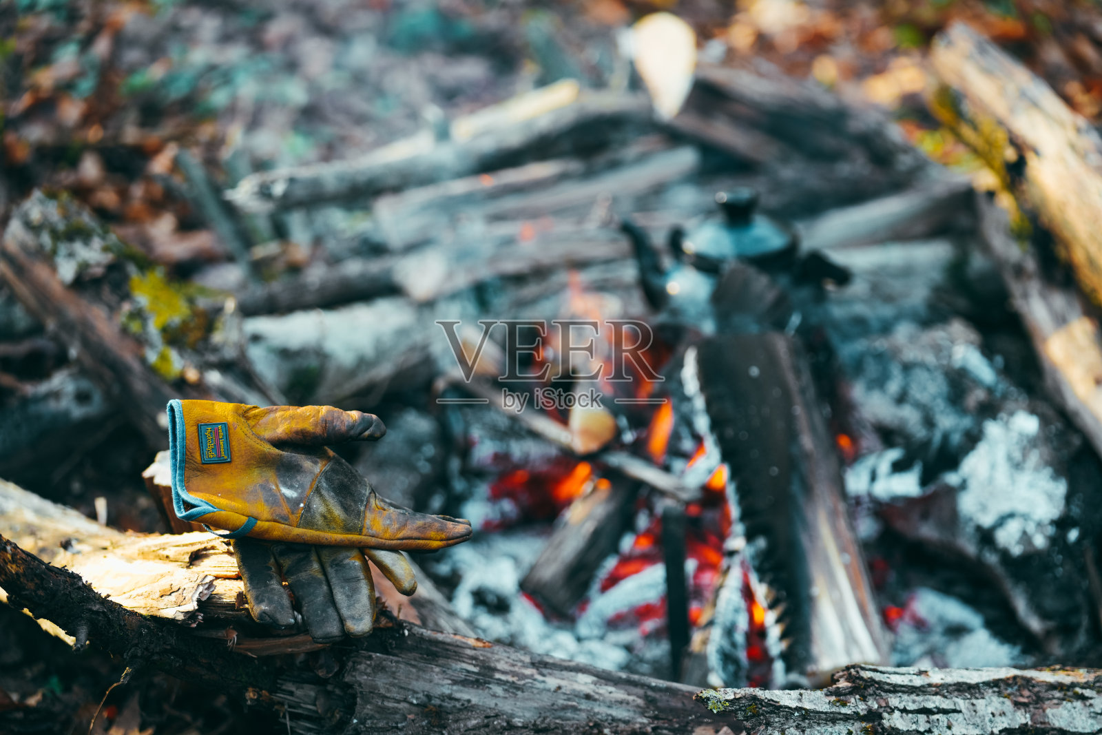 丛林露营的旧水壶照片摄影图片