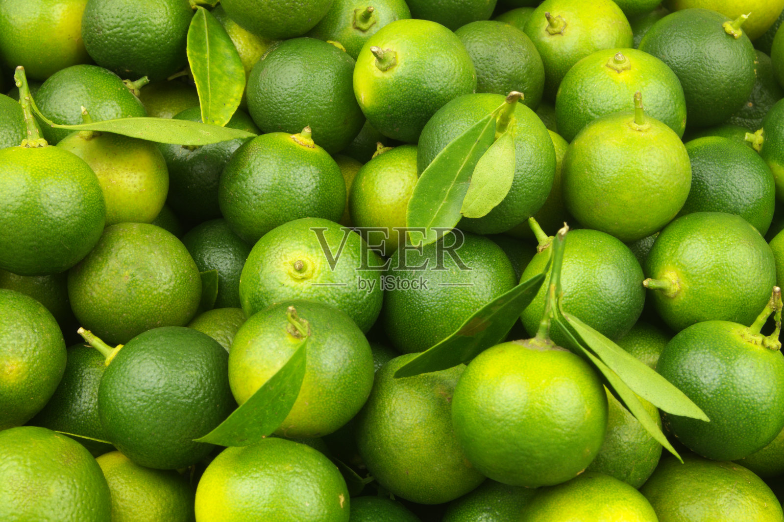 新鲜成熟的酸橙背景照片摄影图片