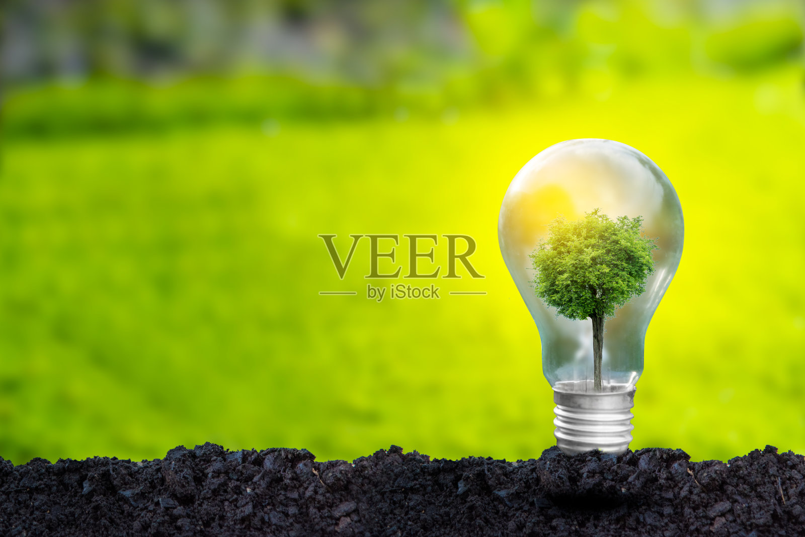 3D插图可再生能源概念地球日或环境保护保护生长在地面上的森林,帮助拯救地球。照片摄影图片