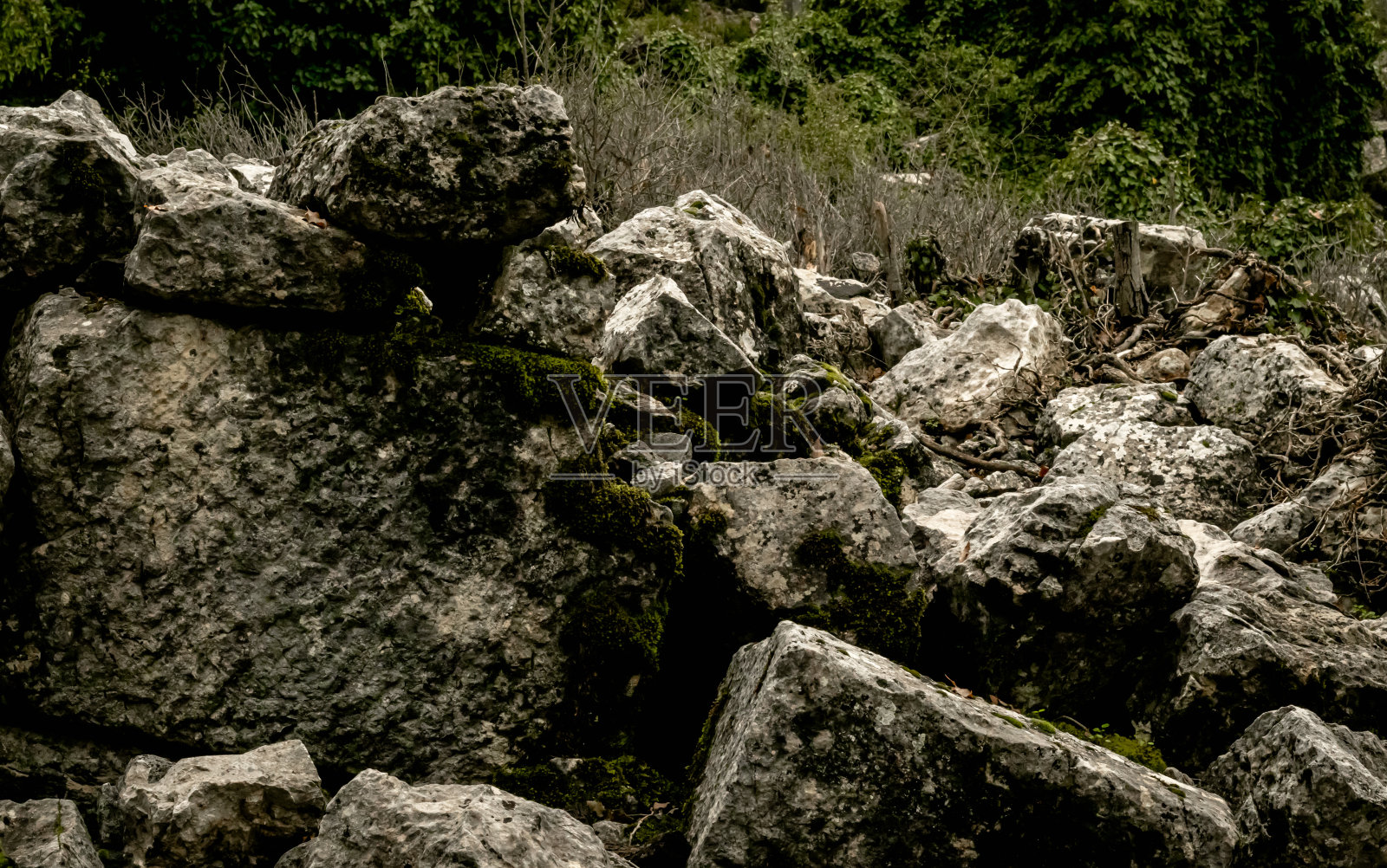 特梅索斯国家公园,树木和树叶,山照片摄影图片