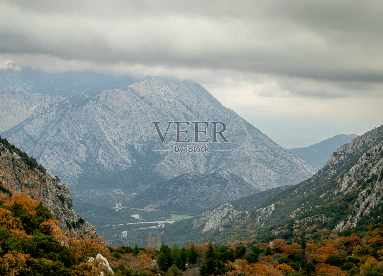 特梅索斯国家公园,树木和树叶,山照片摄影图片