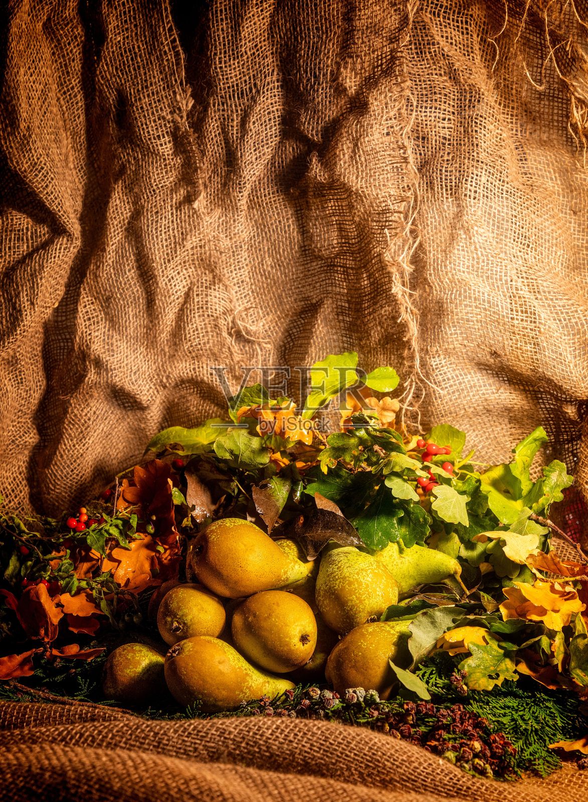 秋收节静物场景的垂直拍摄照片摄影图片