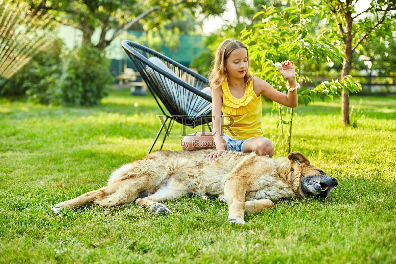 可爱的女孩和老狗在公园的草地上享受夏日照片摄影图片