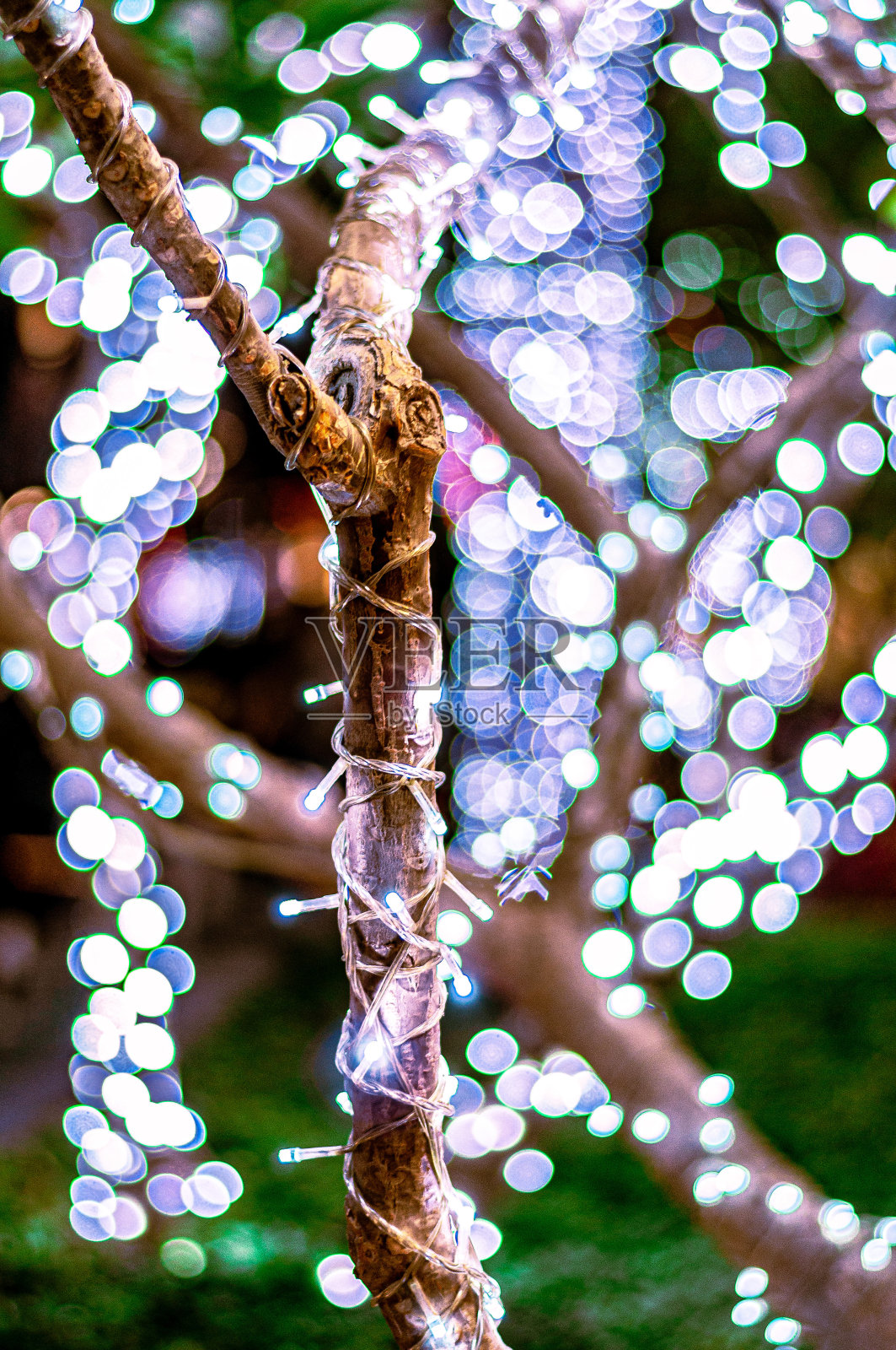 树上的圣诞节装饰品照片摄影图片