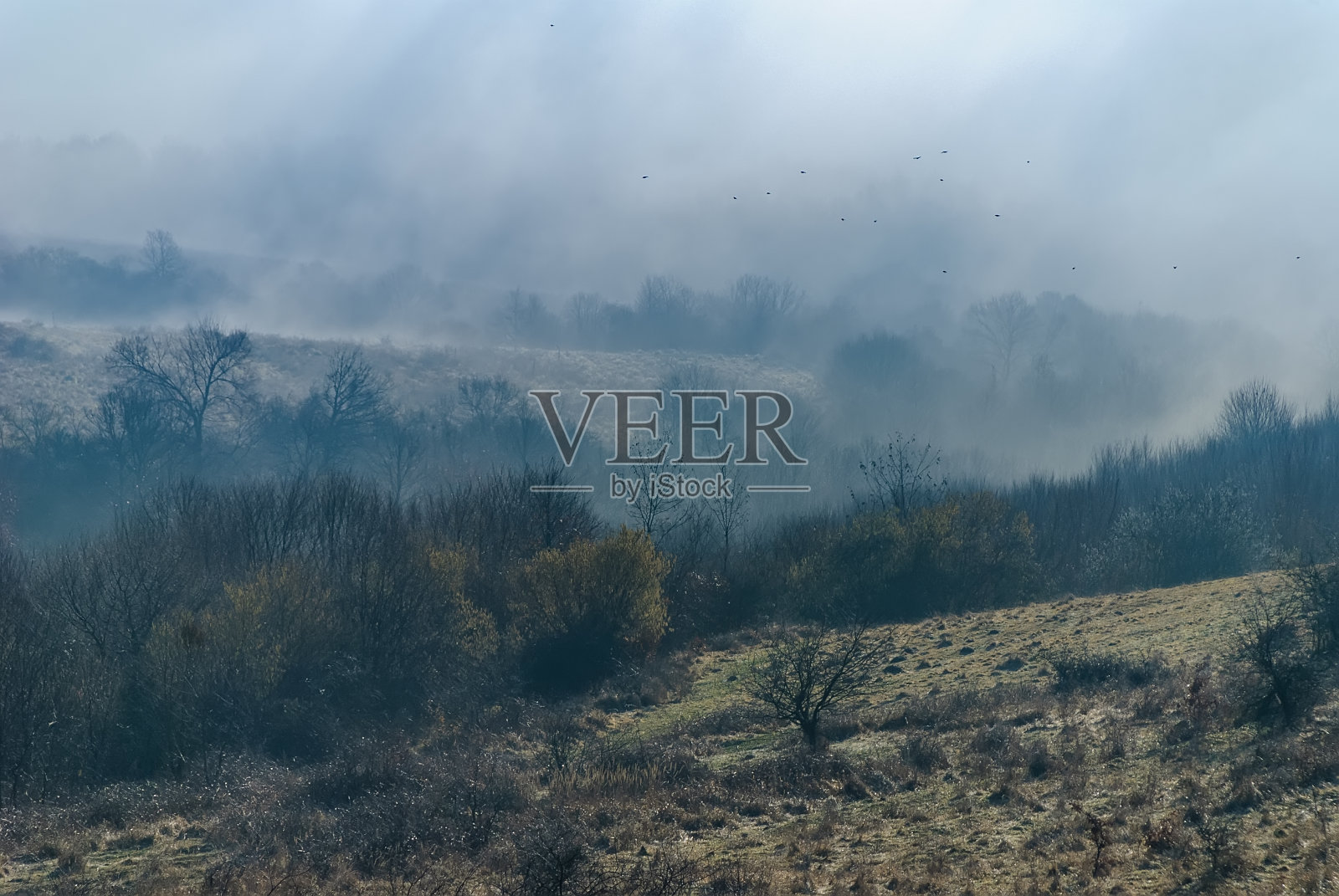 丘陵乡村,山顶在秋天的早晨透过薄雾瞥见。第一缕晨光洒在树木上,掀起山谷上空的晨雾。秋天乡村的宁静时刻照片摄影图片