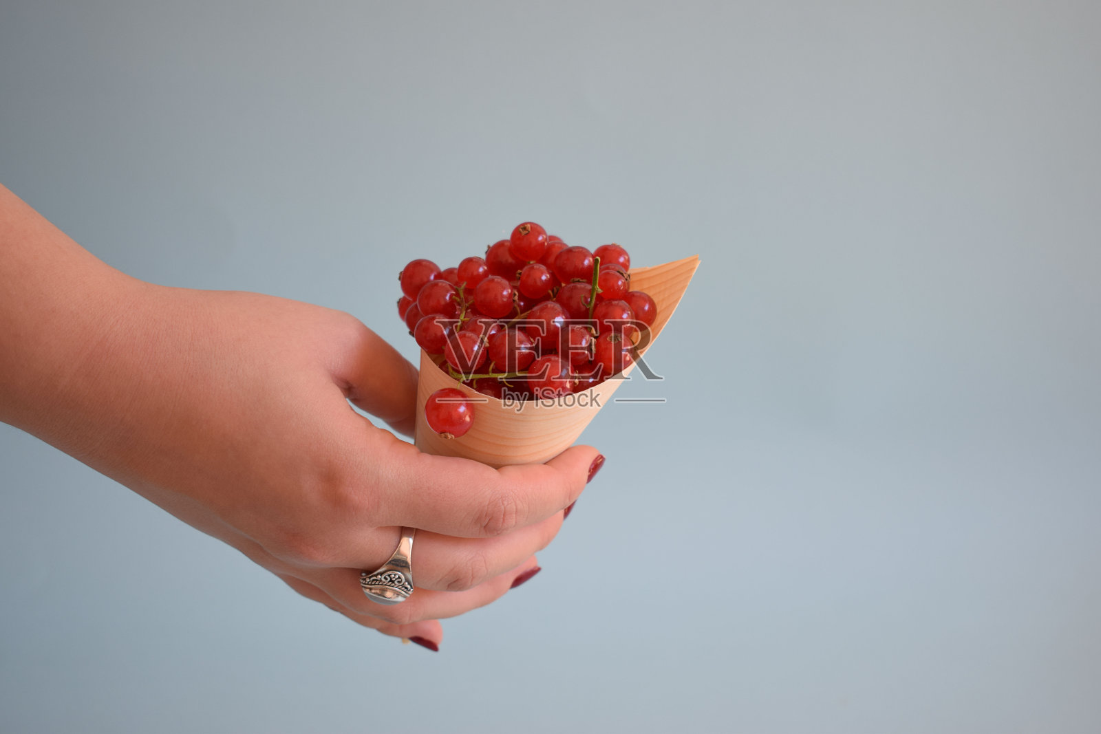 红醋栗孤立在蓝色背景上。照片摄影图片