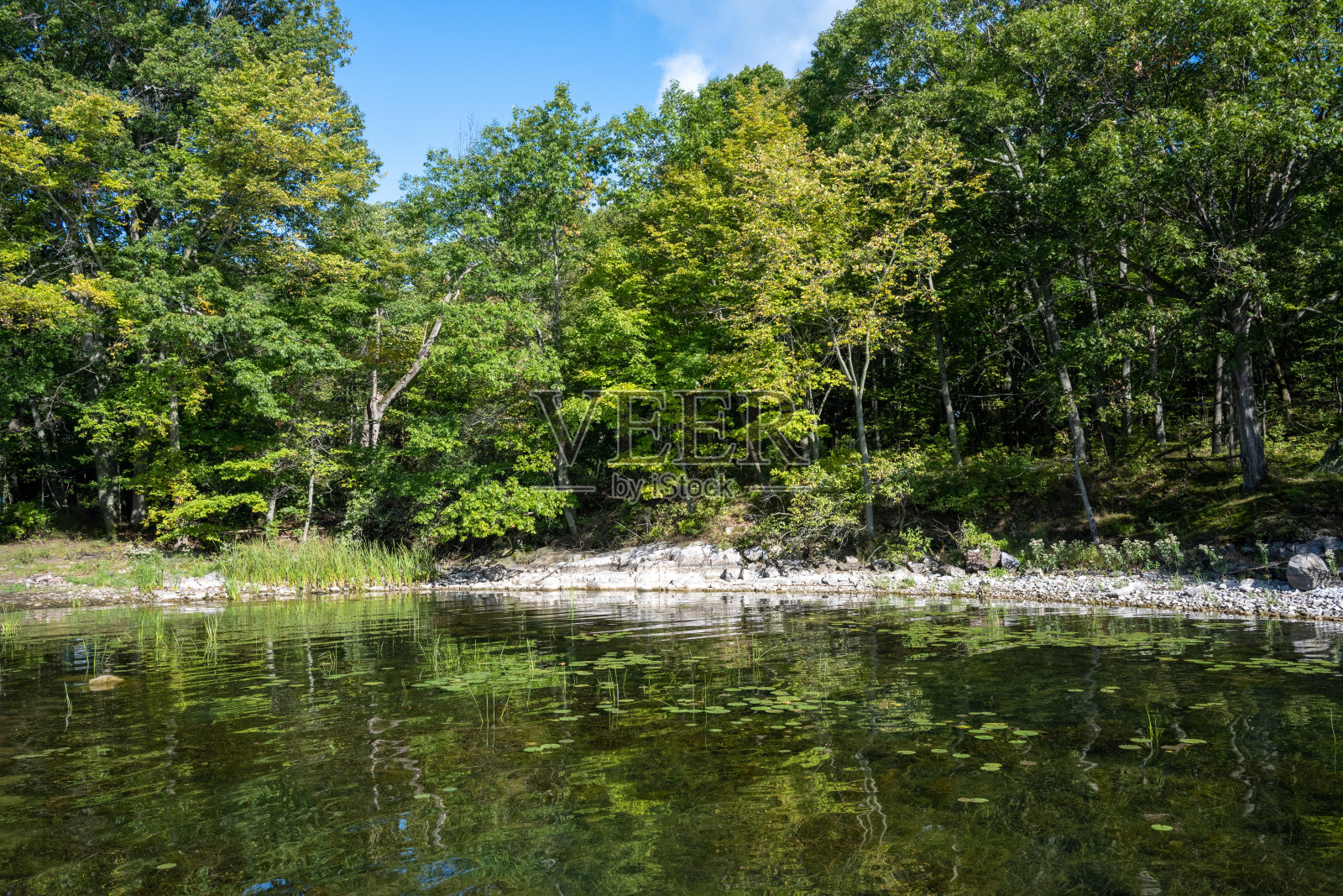水面倒影照片摄影图片