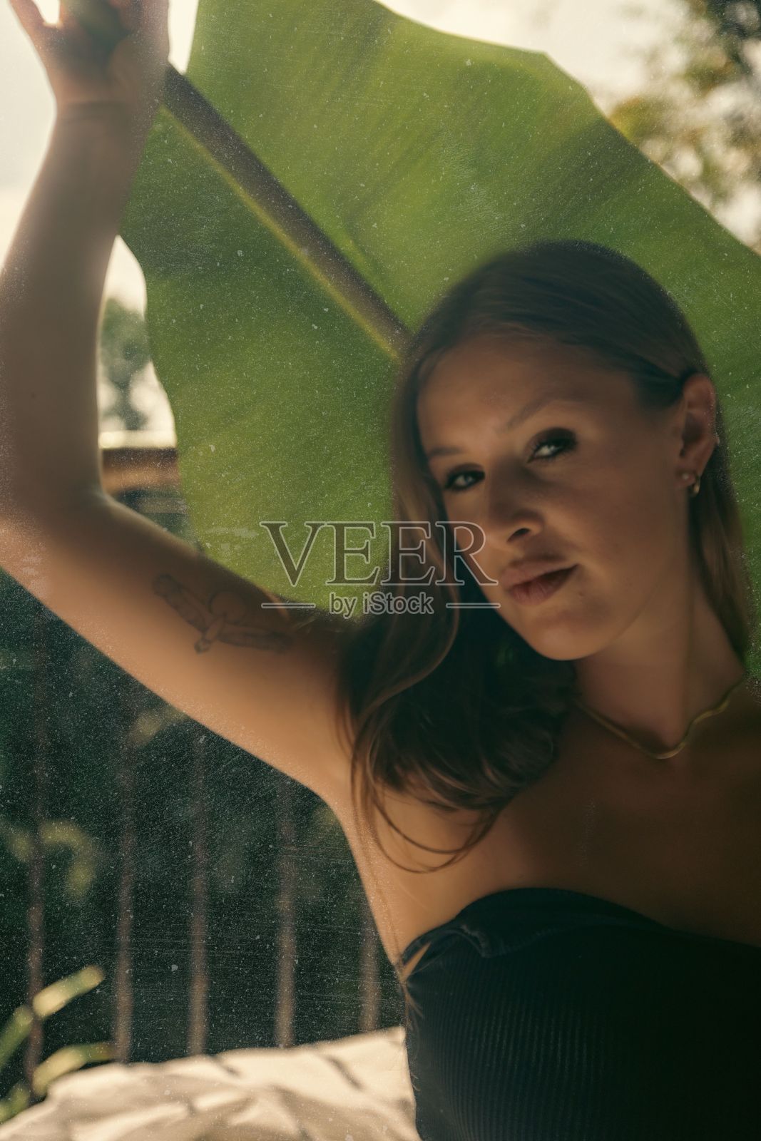 垂直拍摄的照片中,一名白人男性穿着黑色上衣,手抓一片热带树叶照片摄影图片