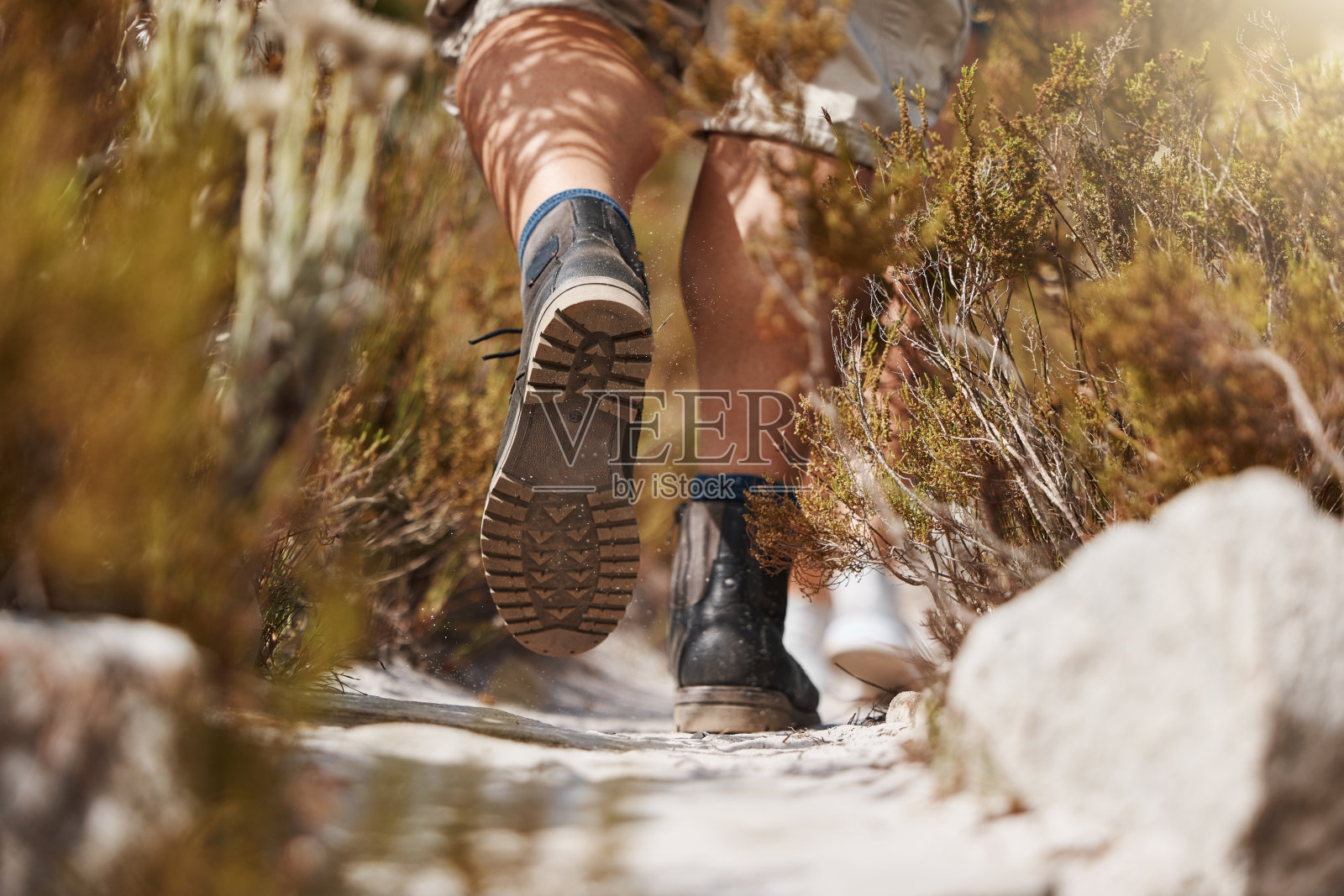 徒步旅行,鞋和人在森林健身,锻炼和锻炼在大自然的早晨有氧特写。脚,徒步旅行者和运动的人走在一条小路在树林里,放松,禅宗和和平照片摄影图片