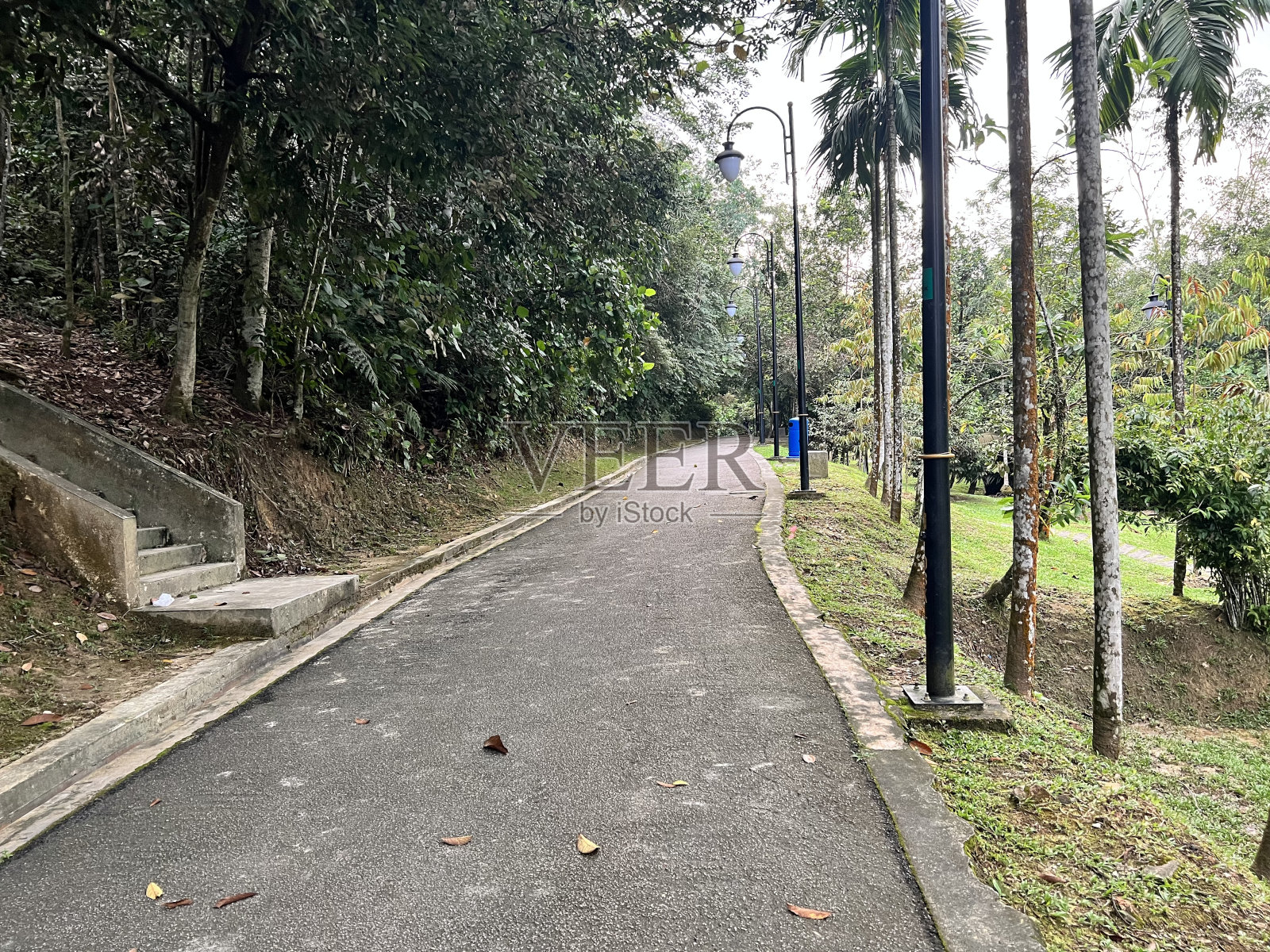 公园照片摄影图片