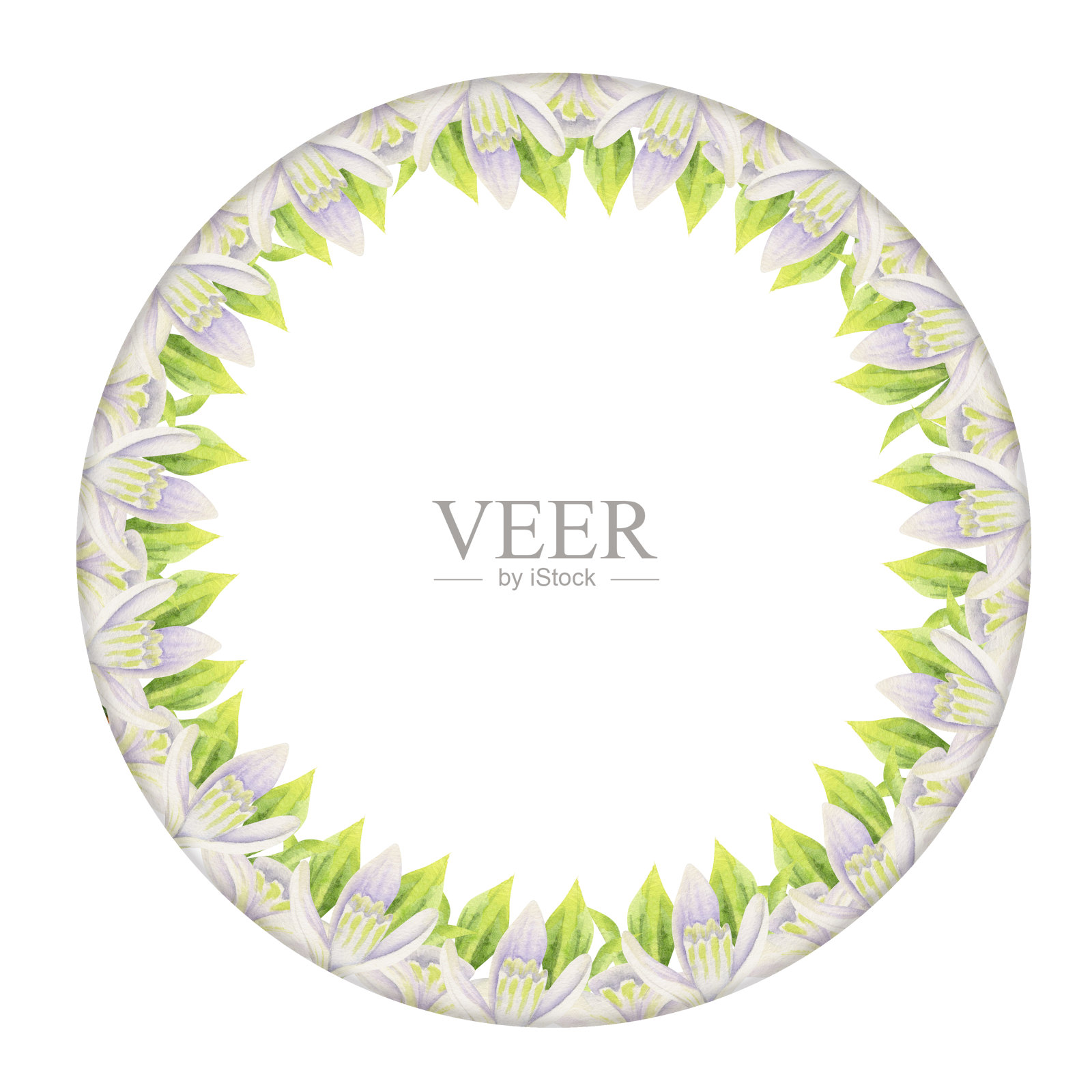 水彩手绘圈花环与春天的花朵,水仙花,番红花,雪花莲,叶子。孤立在白色背景上。设计邀请,婚礼,贺卡,壁纸,印刷,纺织品。插画图片素材