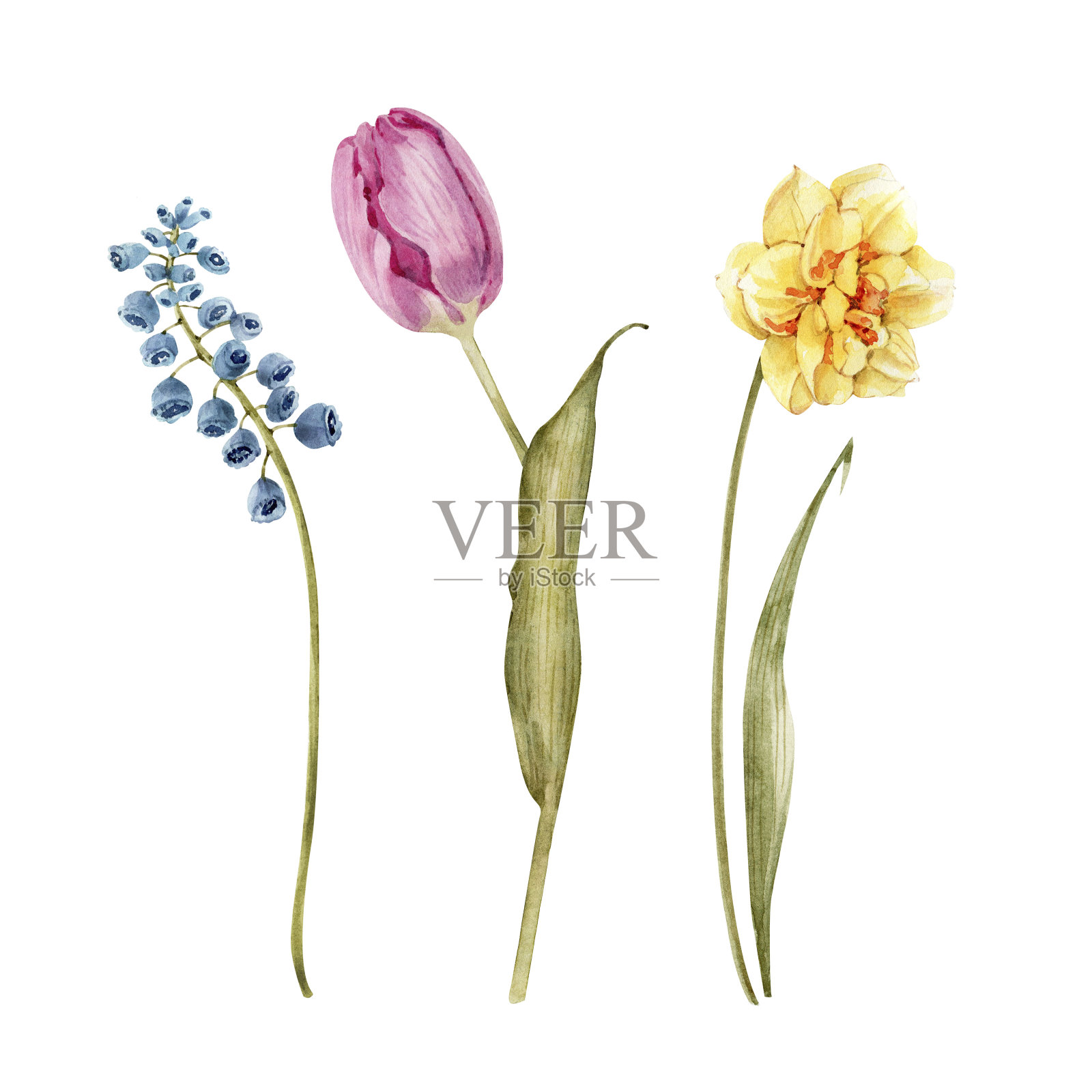 春暖花开,水彩插画集。插画图片素材