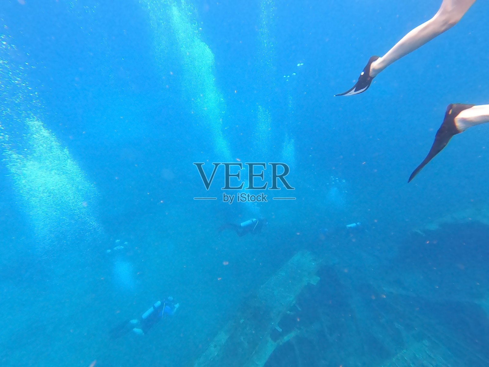 海底的沉船。美丽的水下彩色珊瑚礁在加勒比海的蜜月海滩上圣托马斯,美属维京群岛照片摄影图片