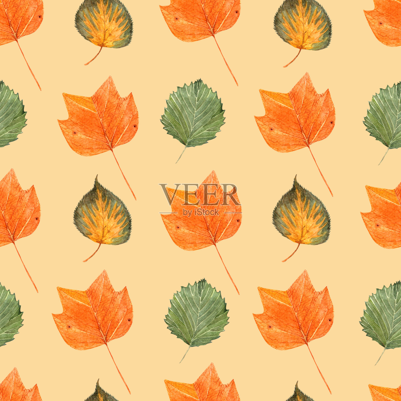 水彩无缝手绘图案与干秋天的郁金香树和菩提树的叶子插画图片素材