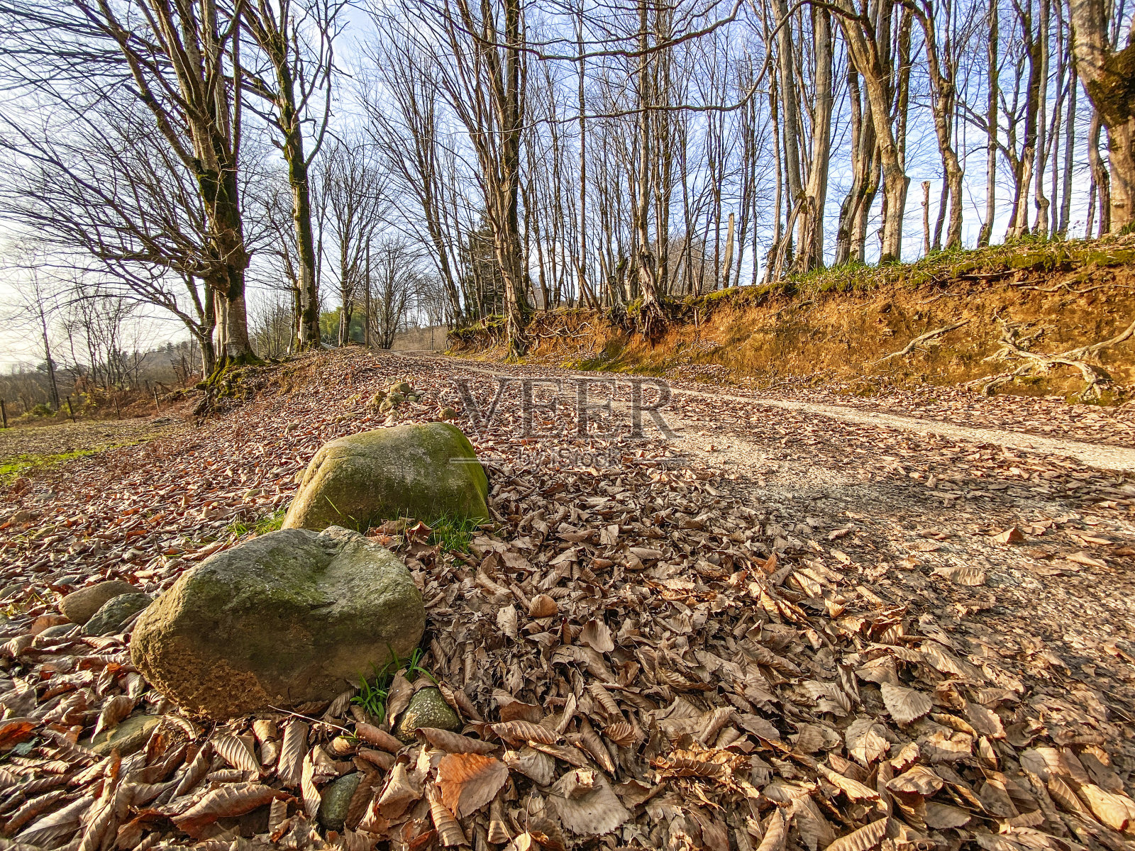 秋天的风景与乡村的道路照片摄影图片