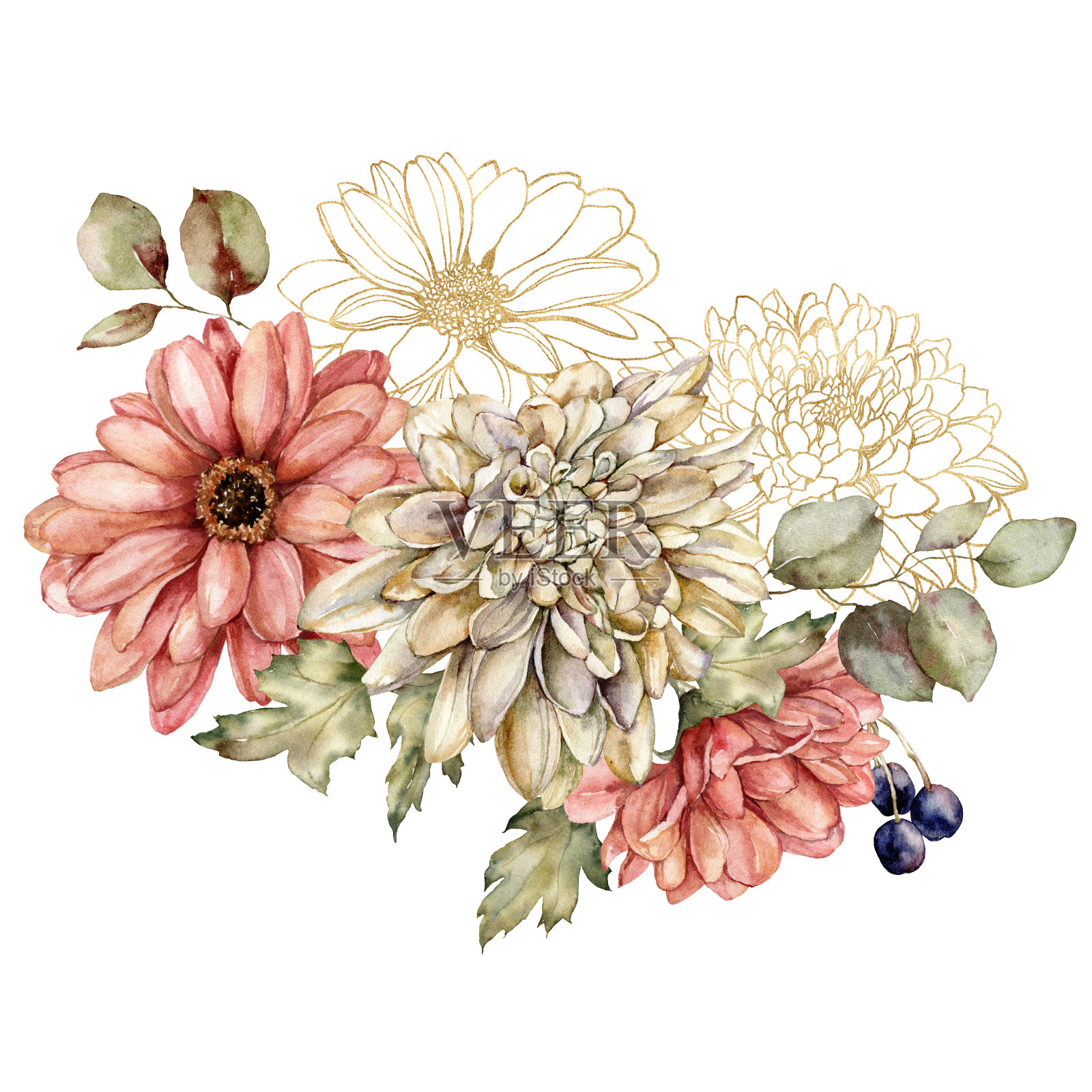 水彩秋天的花束线性大丽花,紫菀和叶子。手绘草地金色花朵孤立在白色背景上。花卉野生插图的设计,印刷,织物或背景。插画图片素材