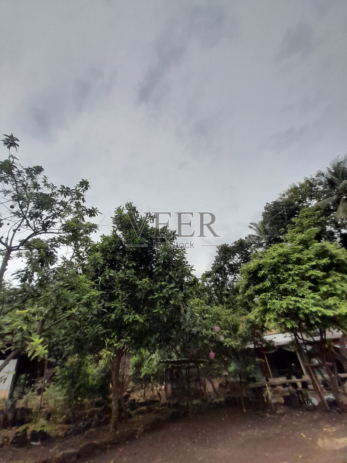 自然照片摄影图片