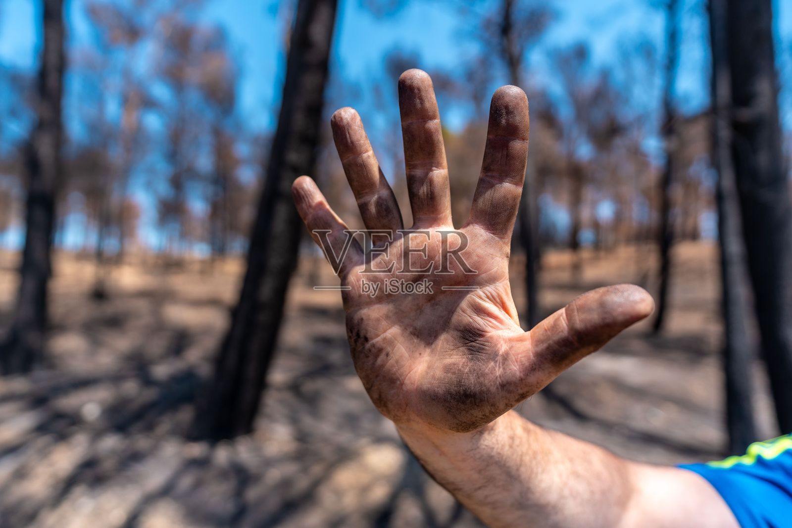 森林火灾后消防员脏手的特写镜头照片摄影图片