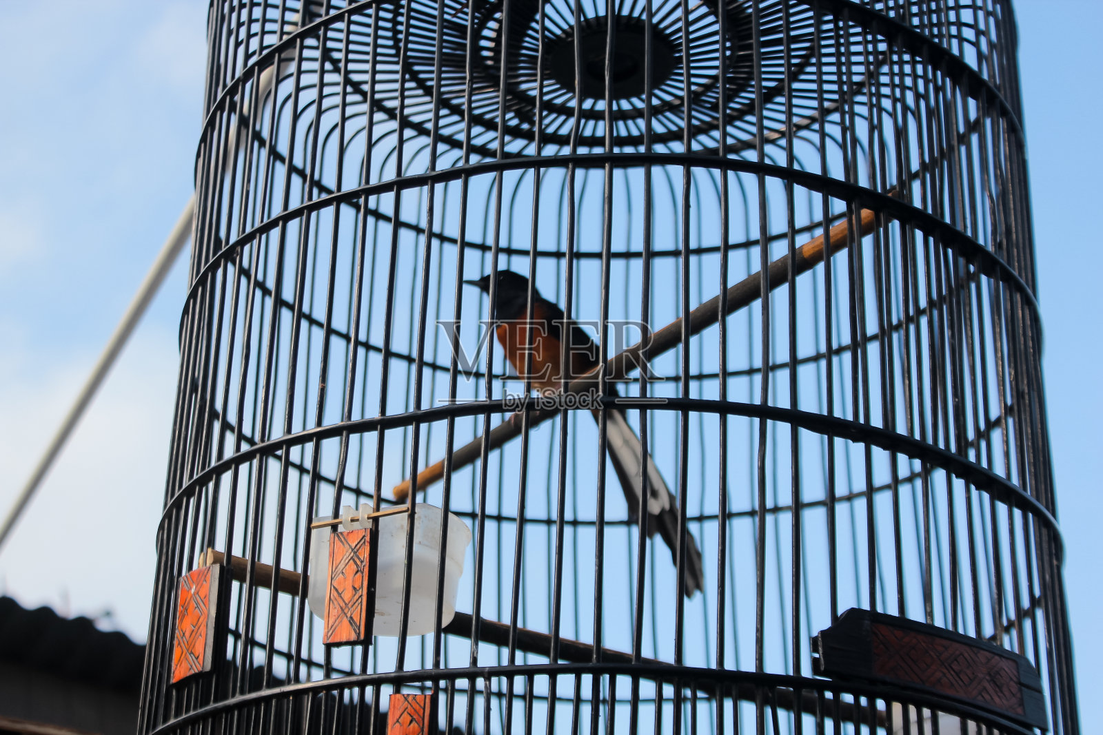 石头喜鹊笼的照片照片摄影图片