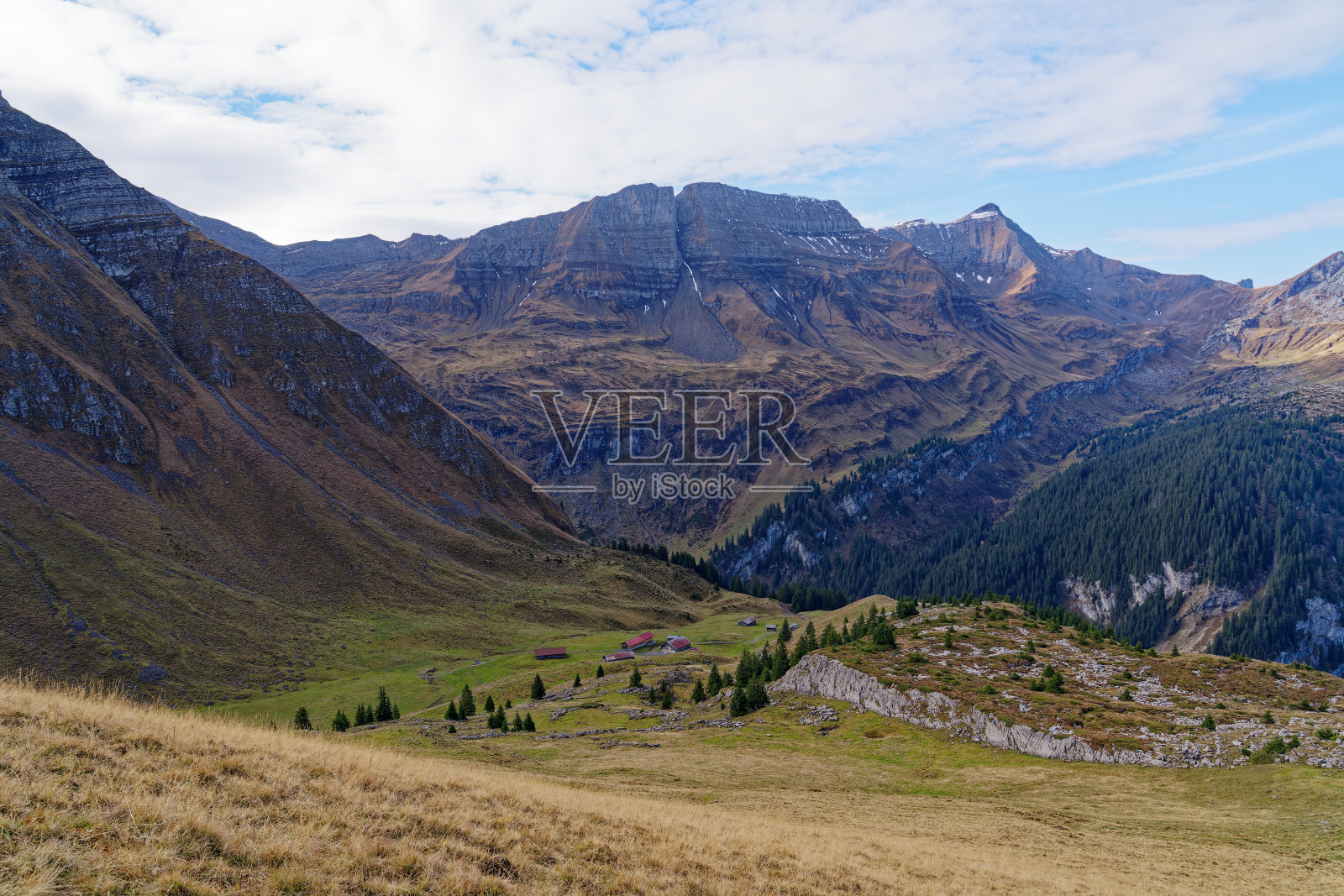 美丽的秋季景观伯恩斯Oberland与伯恩斯阿尔卑斯山和林地在一个蓝色多云的秋天早晨。照片摄影图片