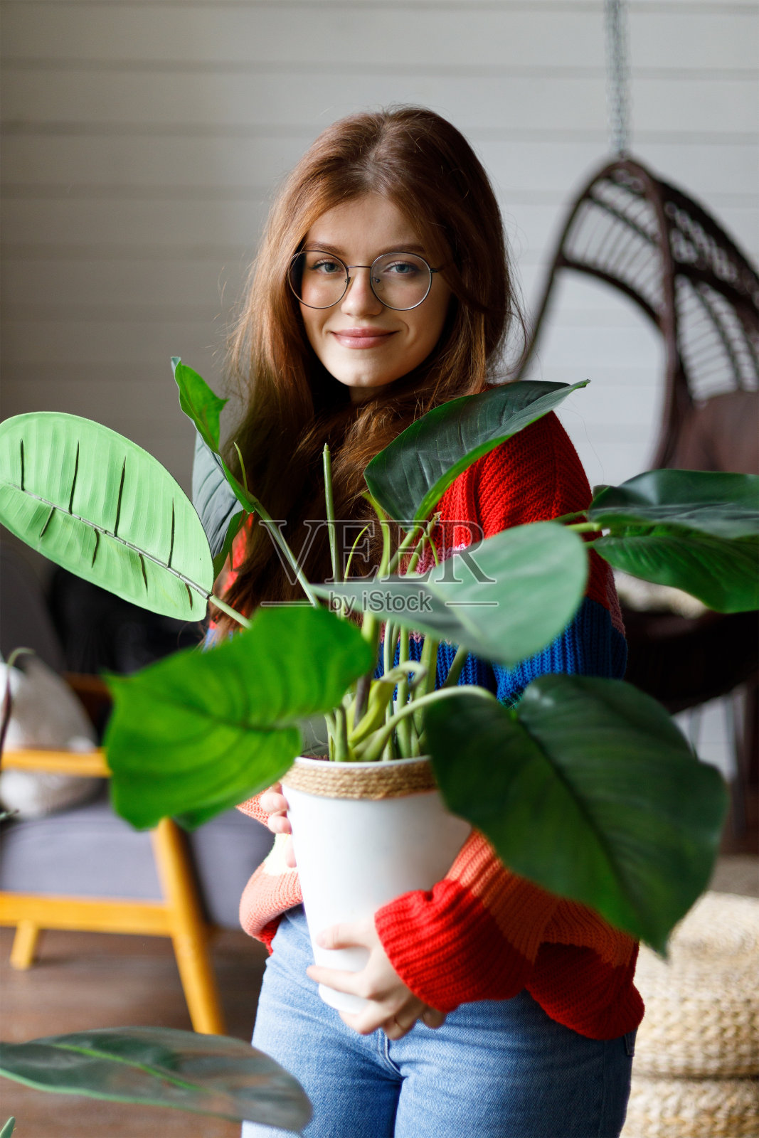 照顾好你的室内植物。一位年轻女子手里捧着一盆异国情调的家用灌木。照片摄影图片