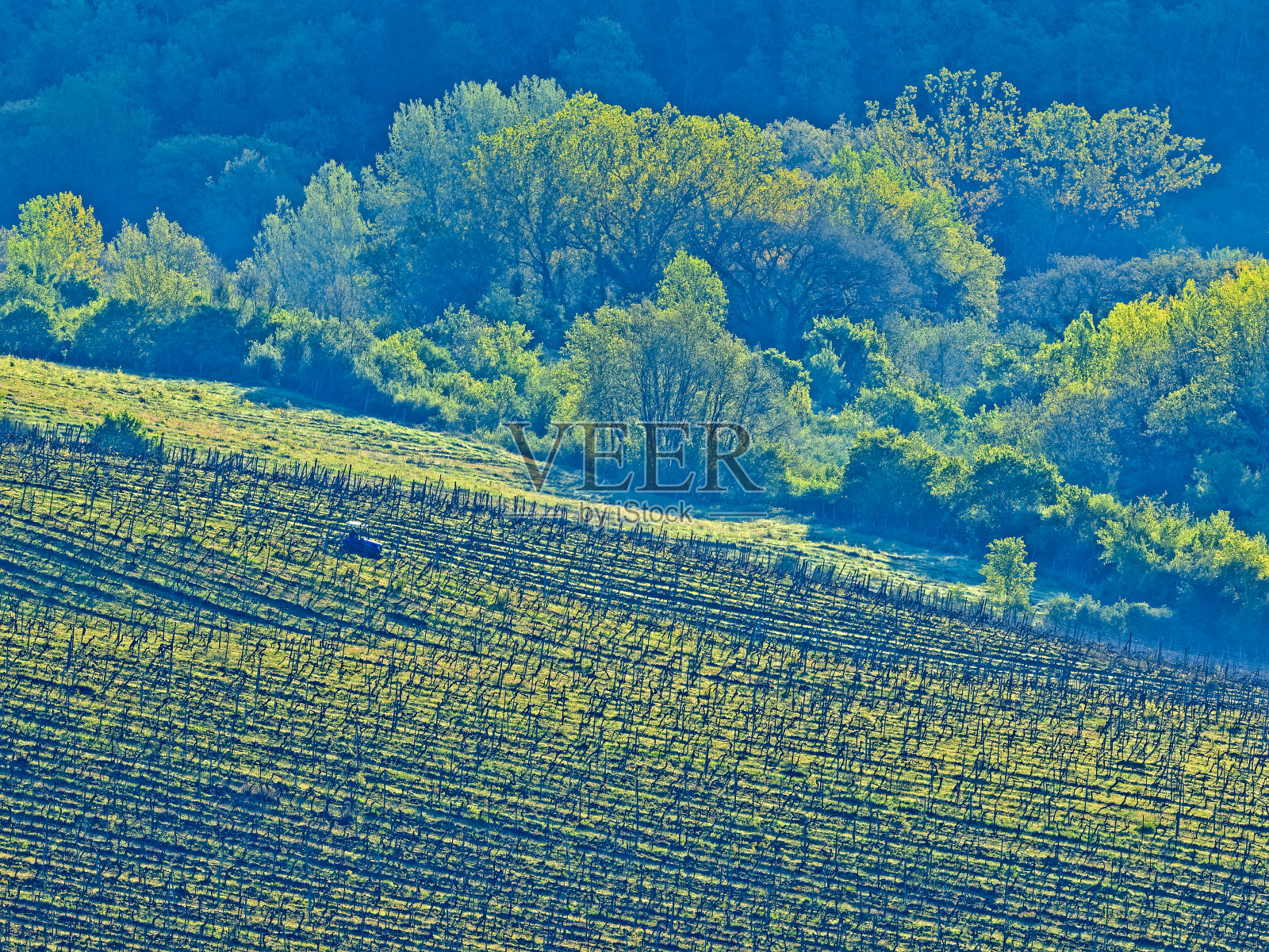 意大利托斯卡纳地区照片摄影图片