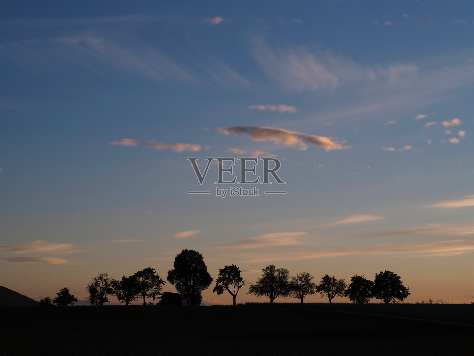 太阳中伴随卷云和积云的树木剪影照片摄影图片