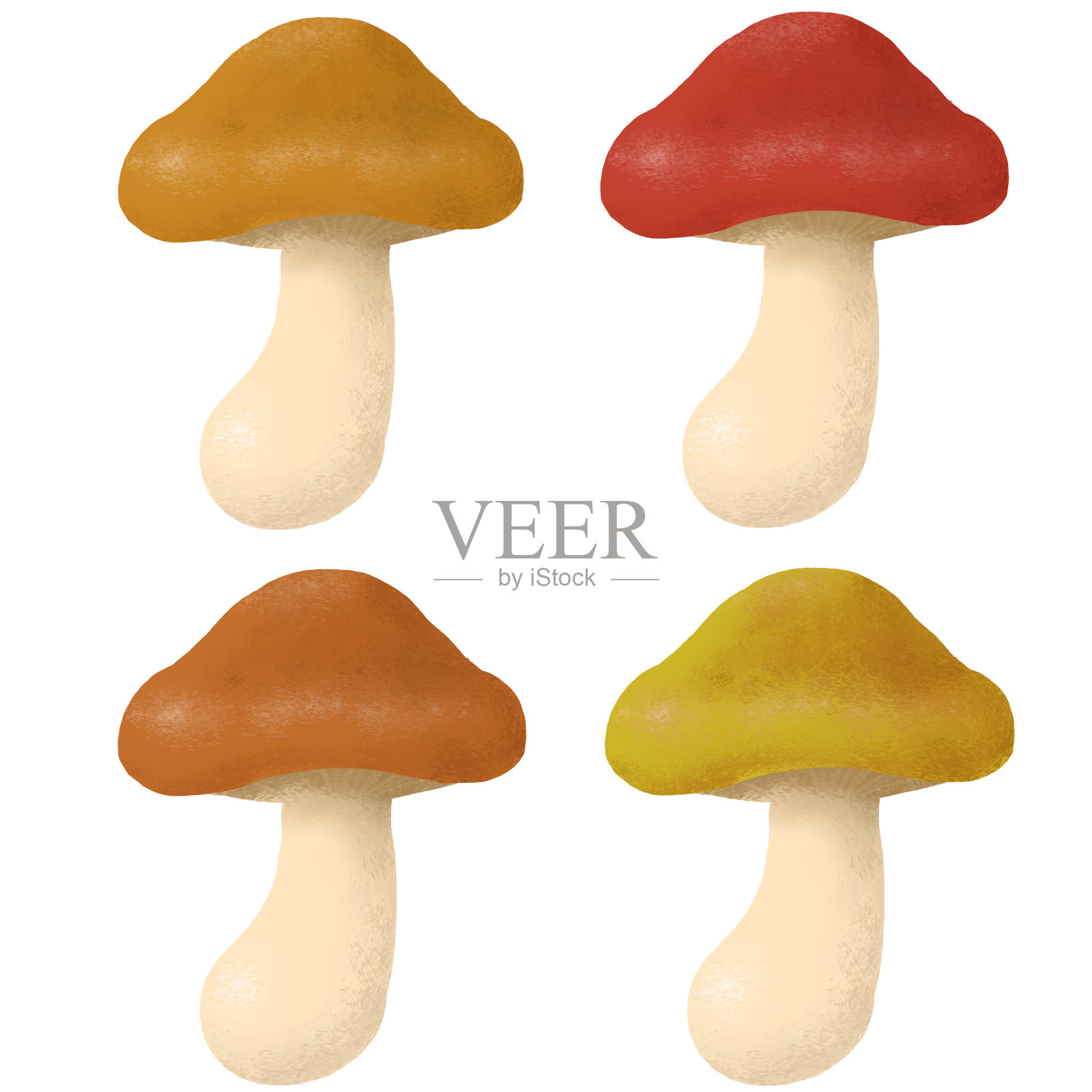 蘑菇,香菇,香菇,秋食材,插图,资料插画图片素材