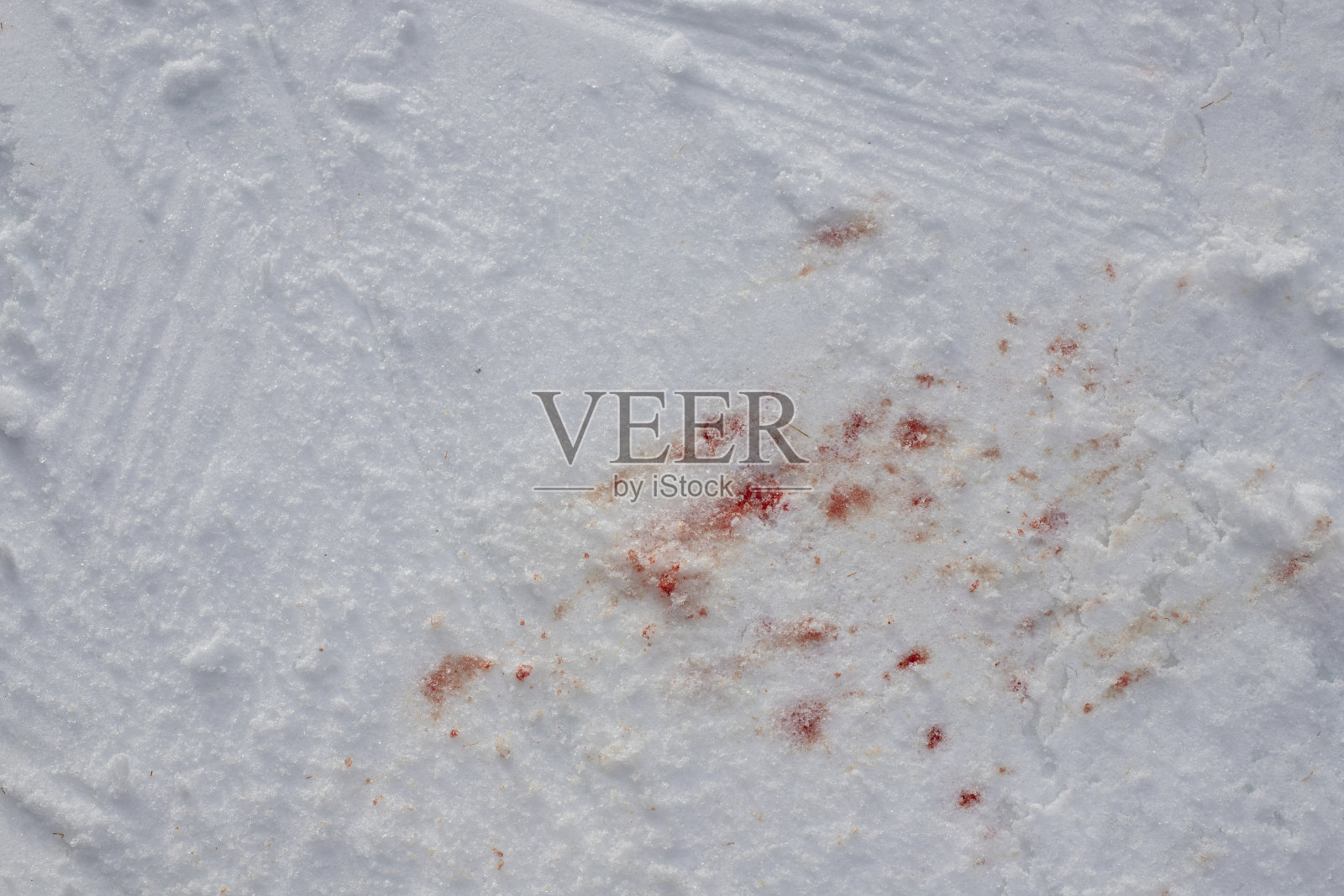 雪地上的血迹,在隆冬的滑雪道上,说明了冬季运动的危险照片摄影图片