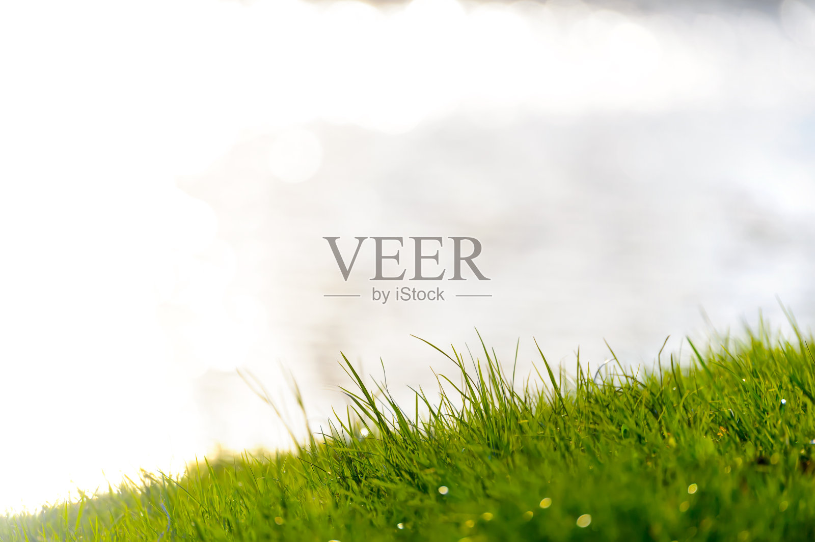 绿色的草地与模糊的水面与美丽的散景,在一个神奇的阳光明媚的春日。选择性聚焦,散焦水波纹。春季海报或横幅概念设计照片摄影图片