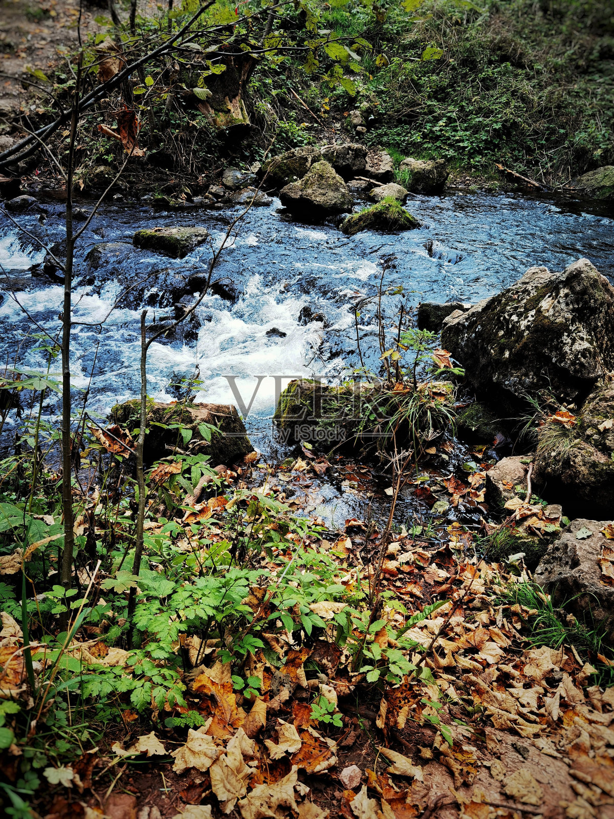 美丽的河流,石头和秋天的树木在森林里照片摄影图片
