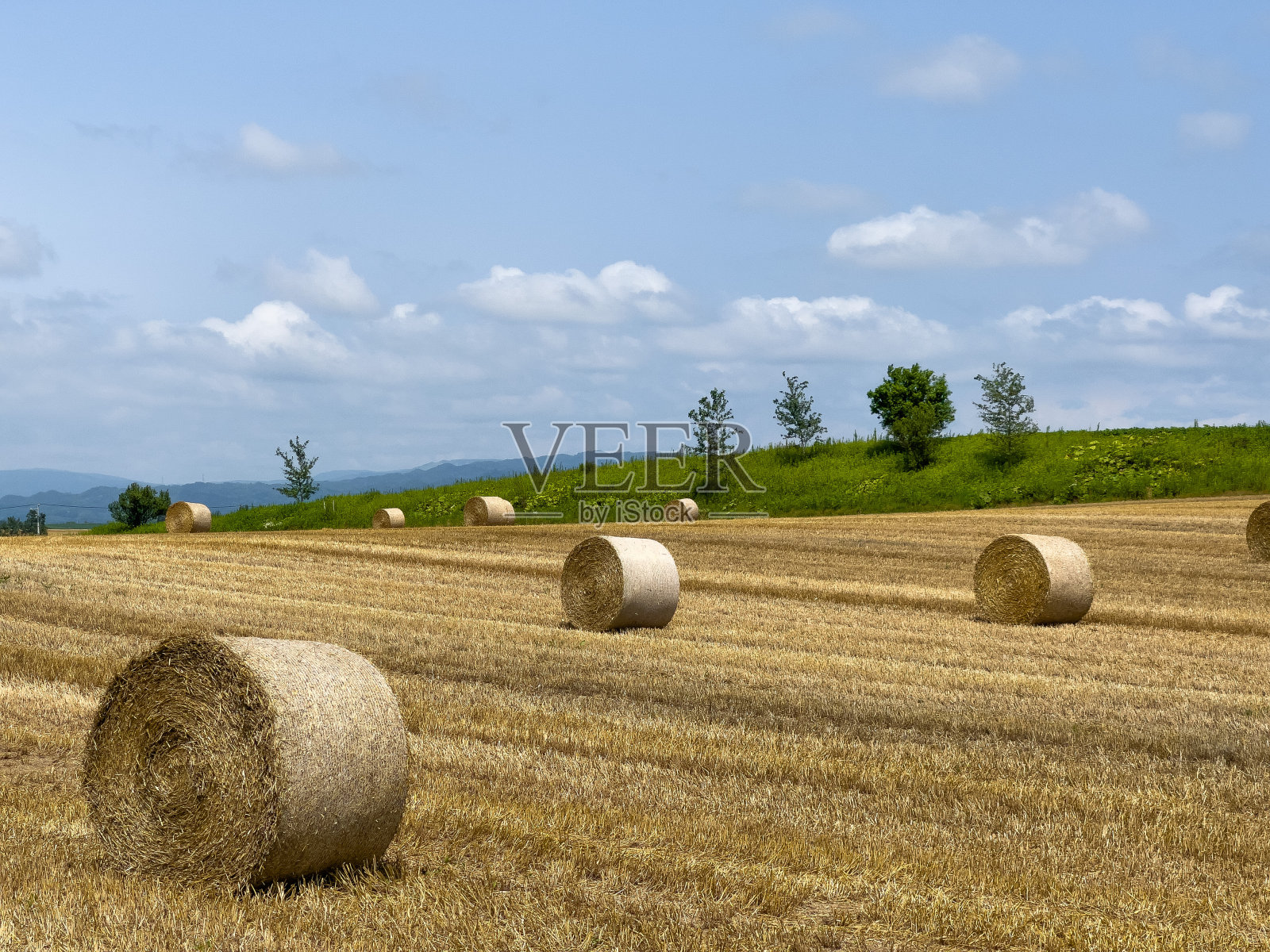 夏天的山坡上有稻草卷照片摄影图片