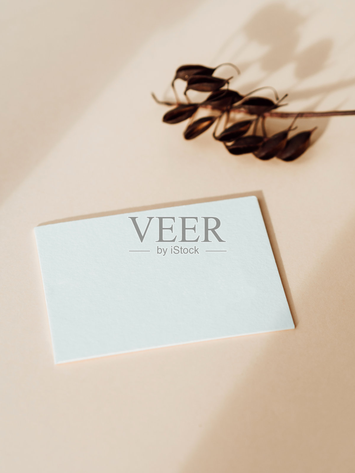 两张空白的白色卡片,米色背景的干早午餐照片摄影图片