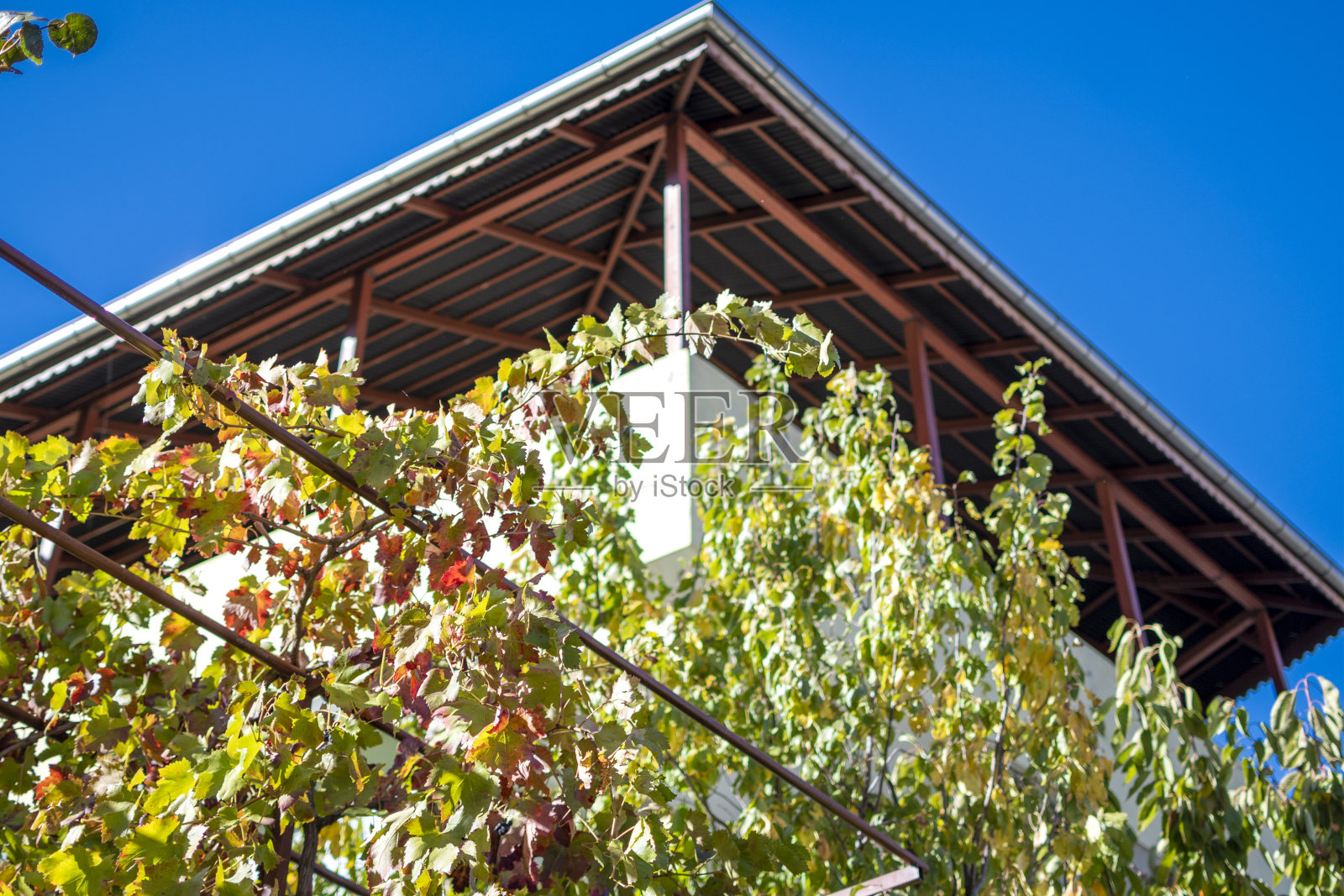 夏天房子屋顶的细节照片摄影图片