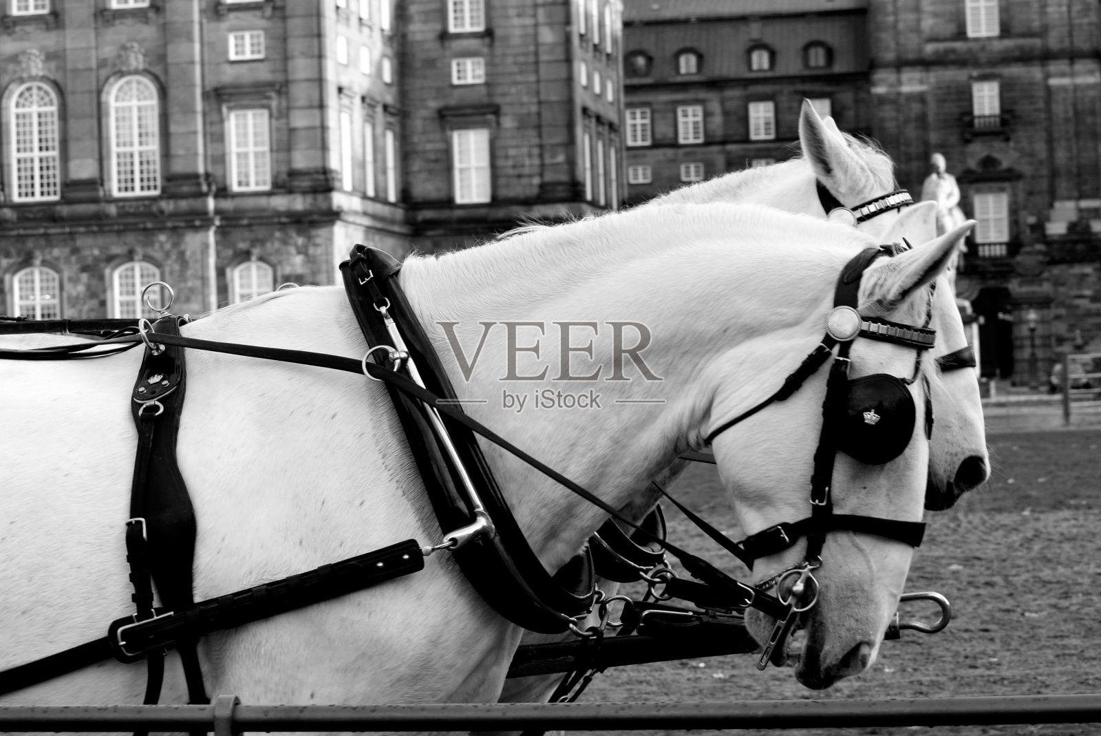 哥本哈根皇家马厩骑马的复古景色照片摄影图片