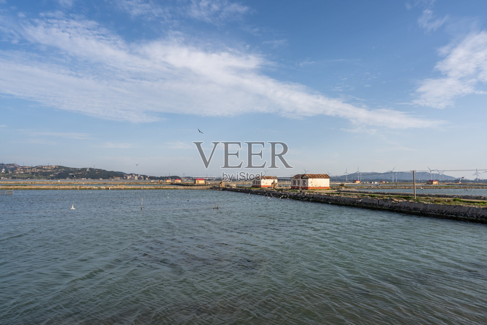 海岸上的风电场和滩涂照片摄影图片