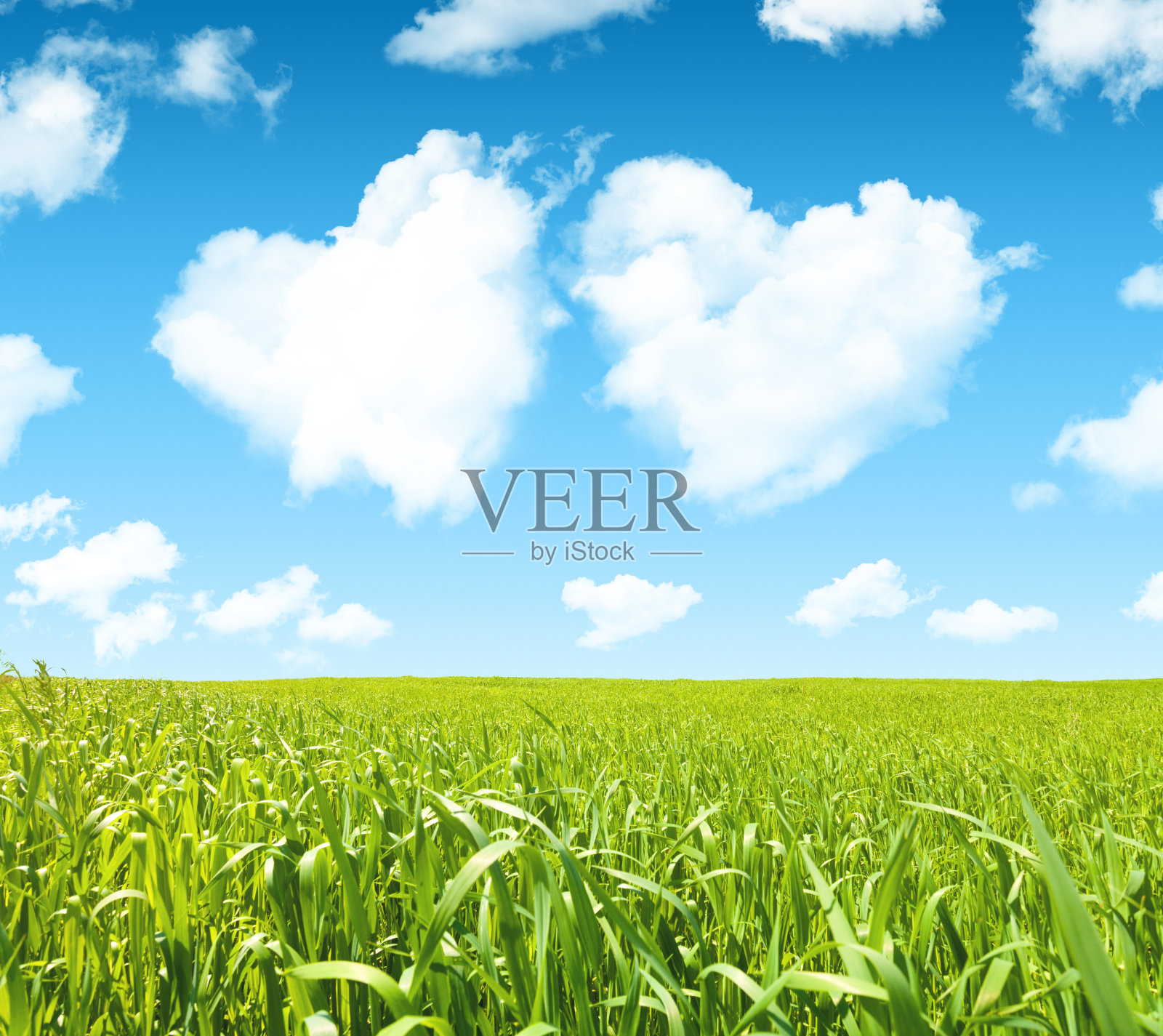 蓝天上绿草云心照片摄影图片