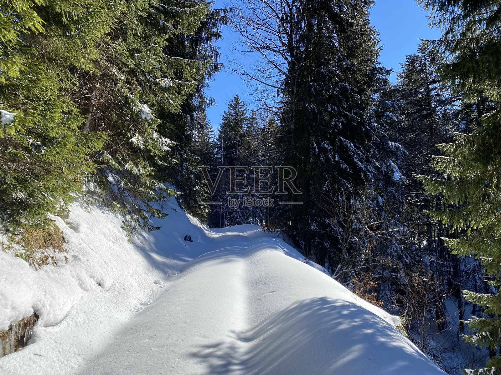 典型冬季环境下的阿尔卑斯森林小径,在厚厚的新积雪覆盖下——阿彭策尔阿尔卑斯山脉,瑞士(瑞士)照片摄影图片