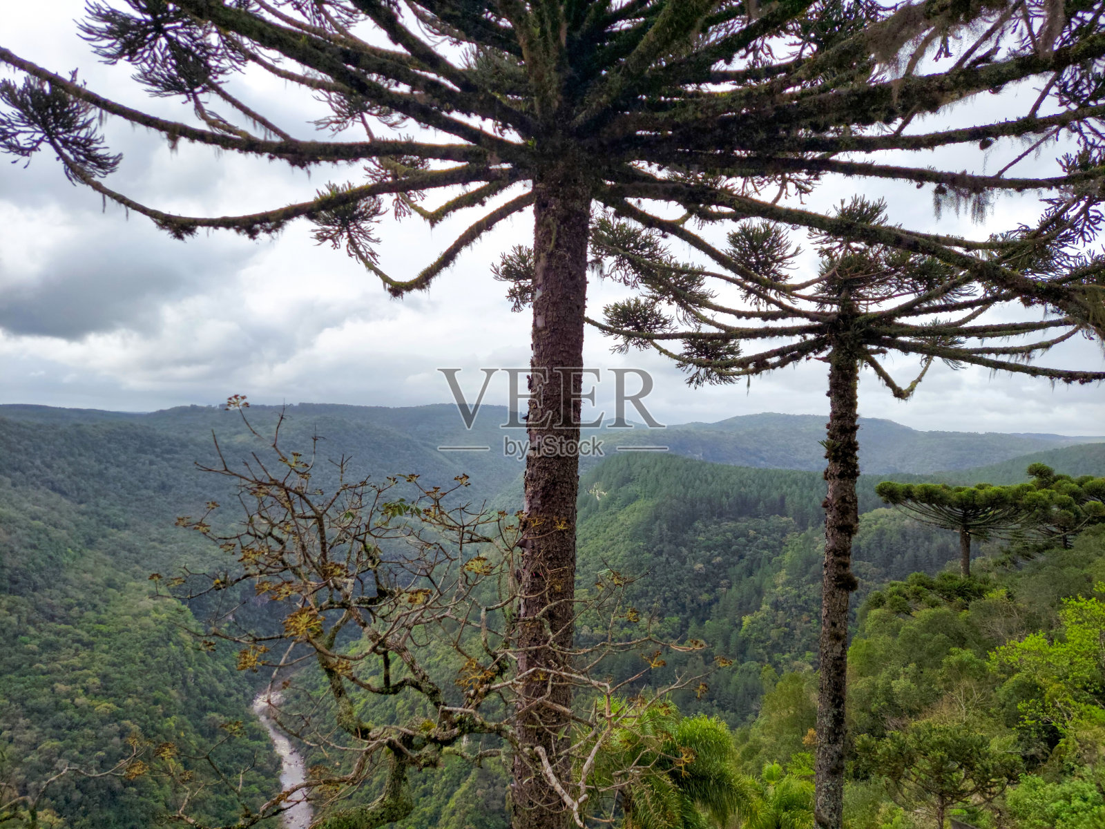 位于巴西南大州的山区。照片摄影图片