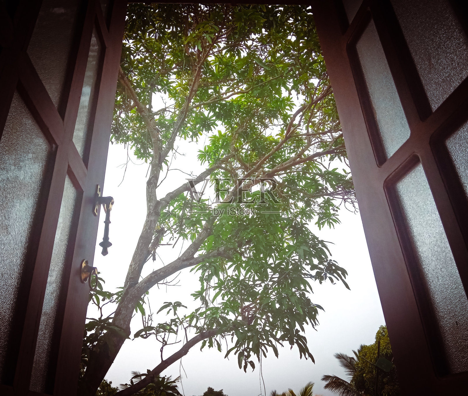 一个早上照片摄影图片