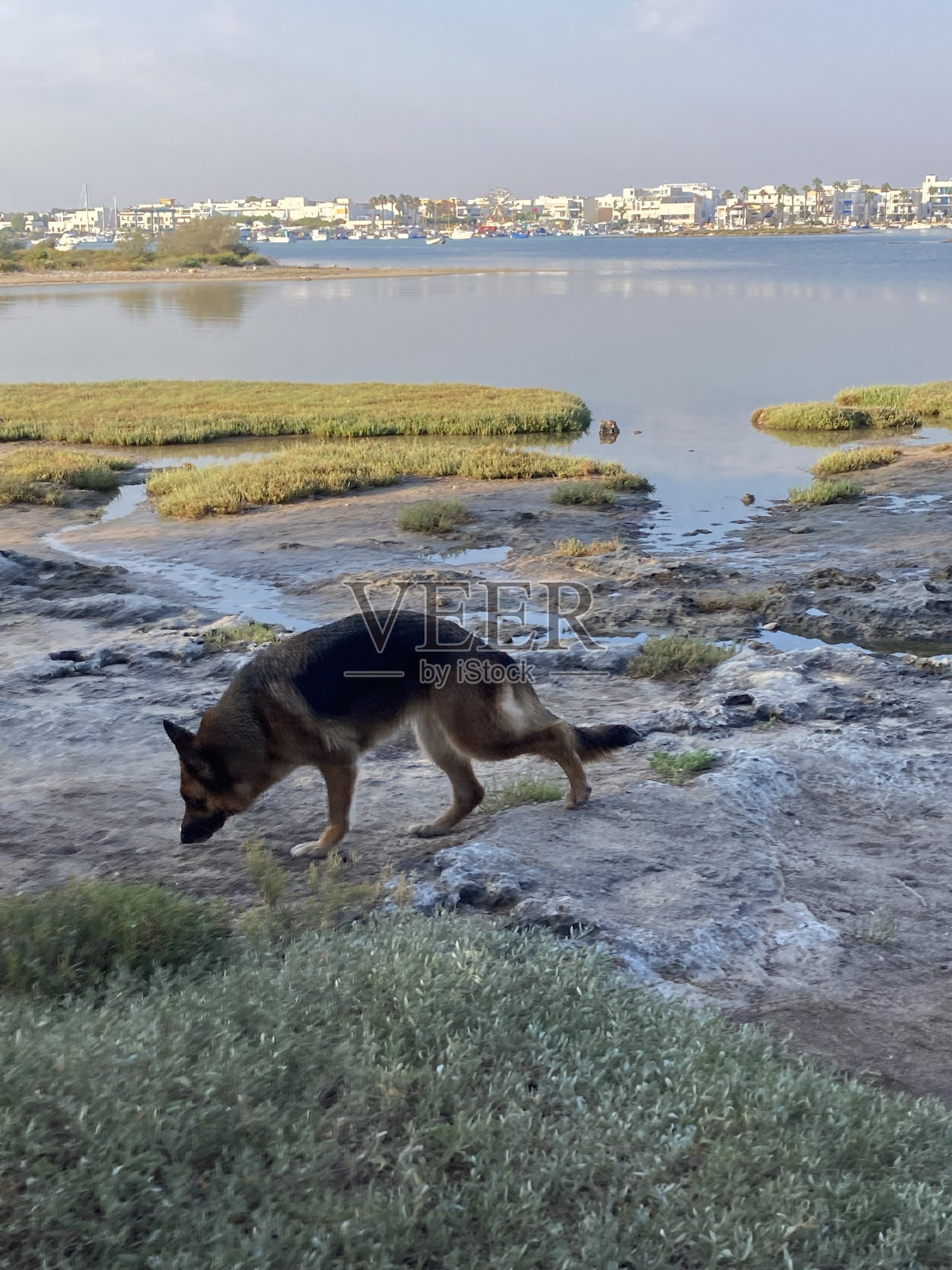 母亲的边缘照片摄影图片