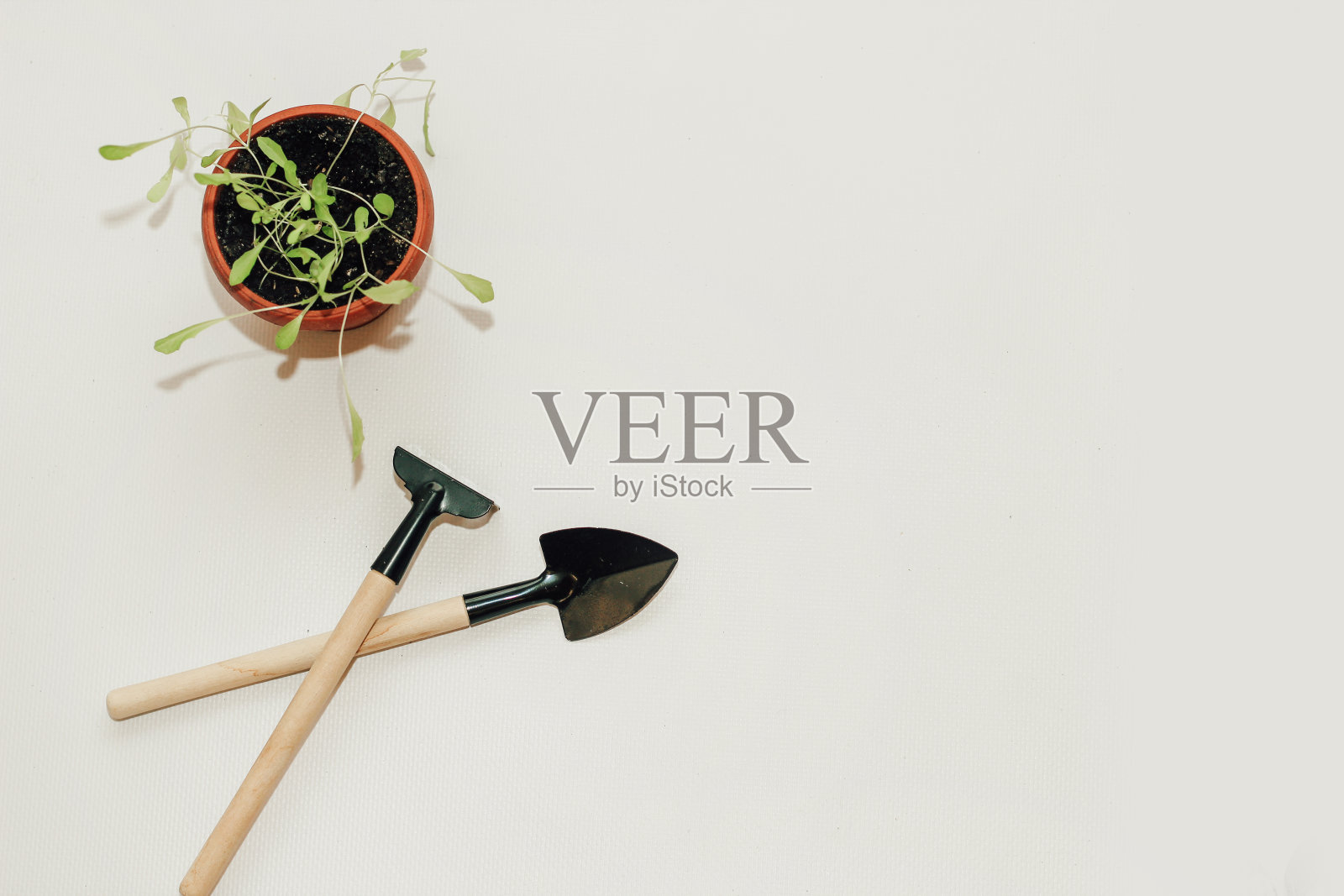 花园手工工具,花盆和幼苗照片摄影图片